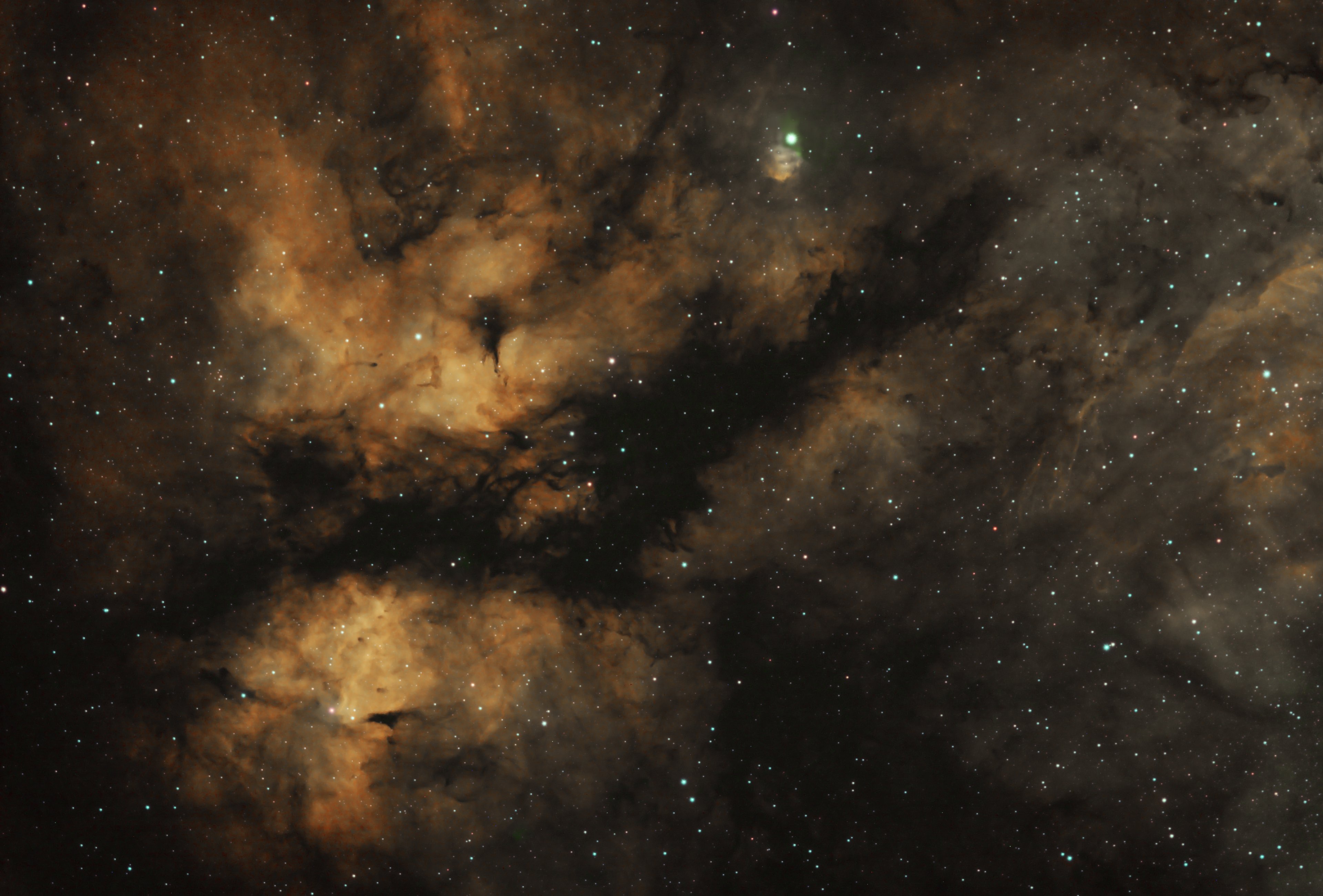 IC1318 - Schmetterlingsnebel