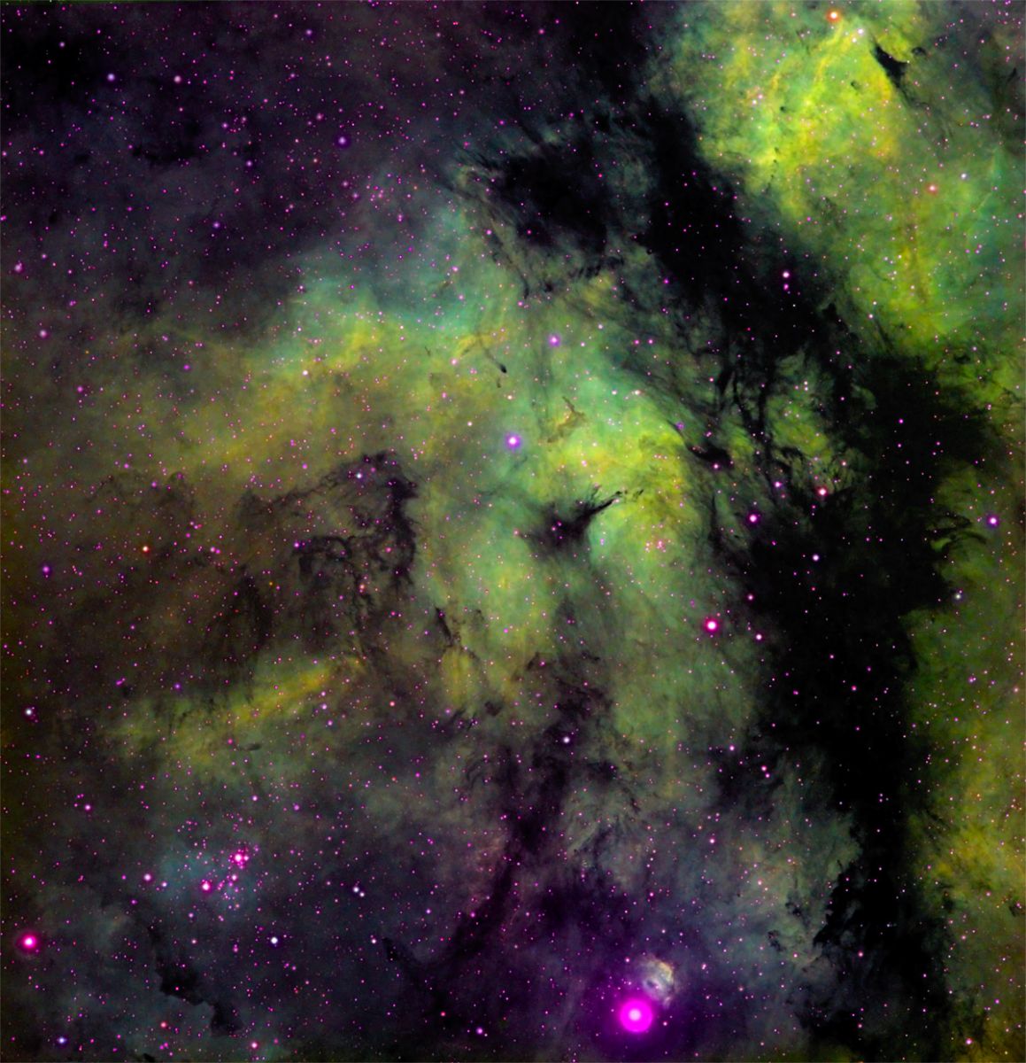 IC1318 und NGC6910