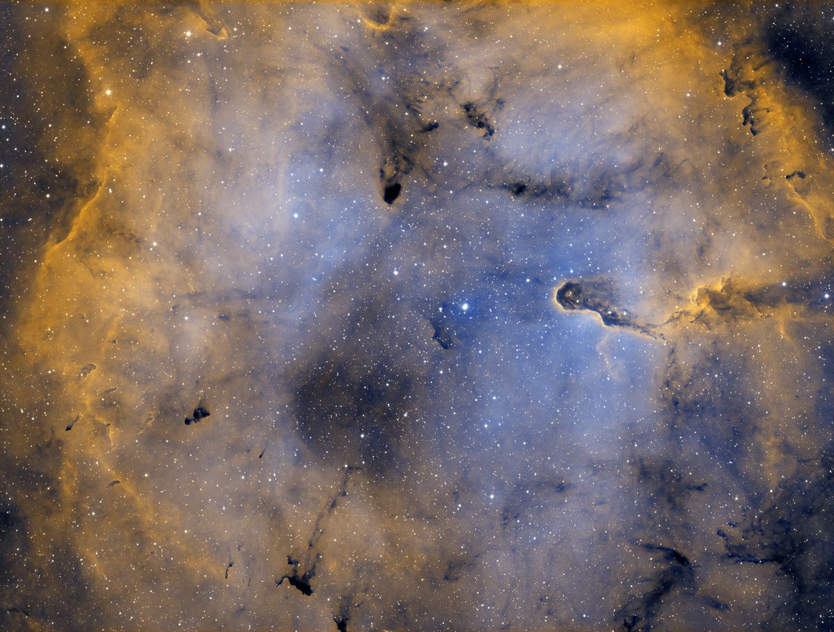IC1394 - Elefantenrüssel Widefield Bicolor