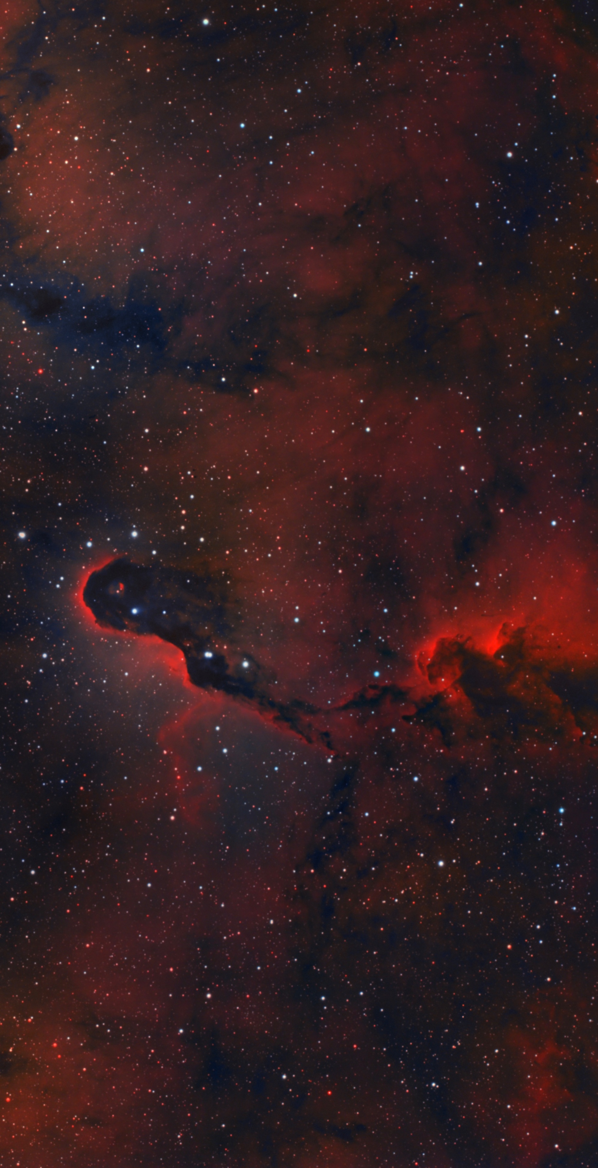 IC1396 Bearbeitung Siril