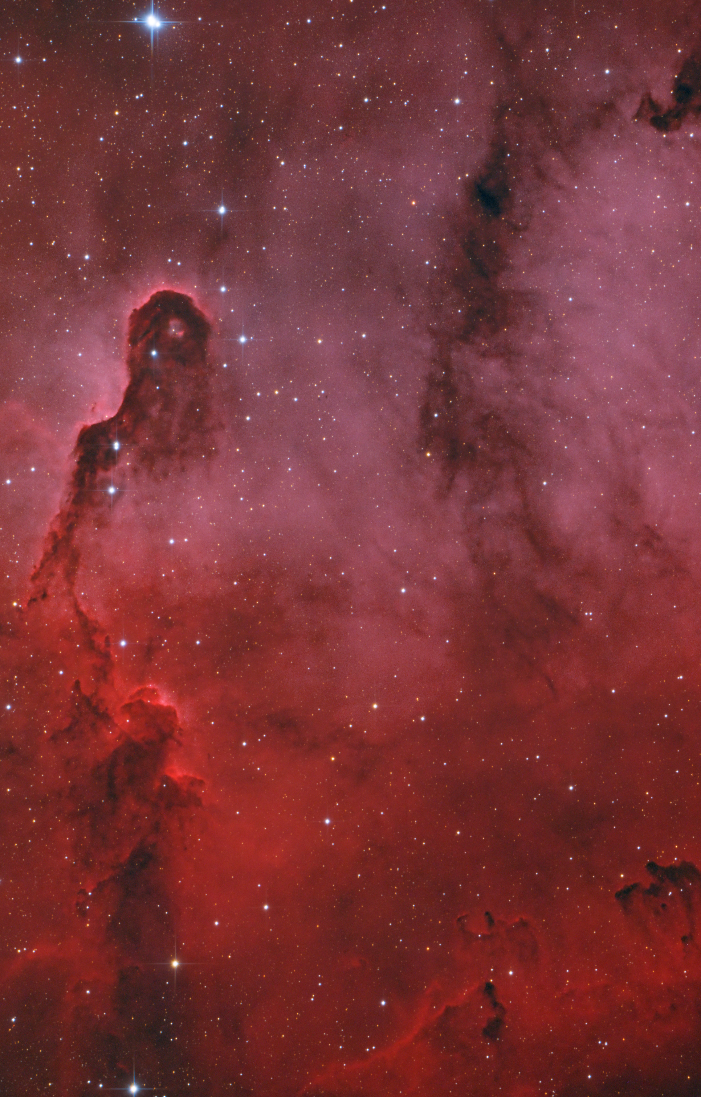 IC1396 Crop.jpg