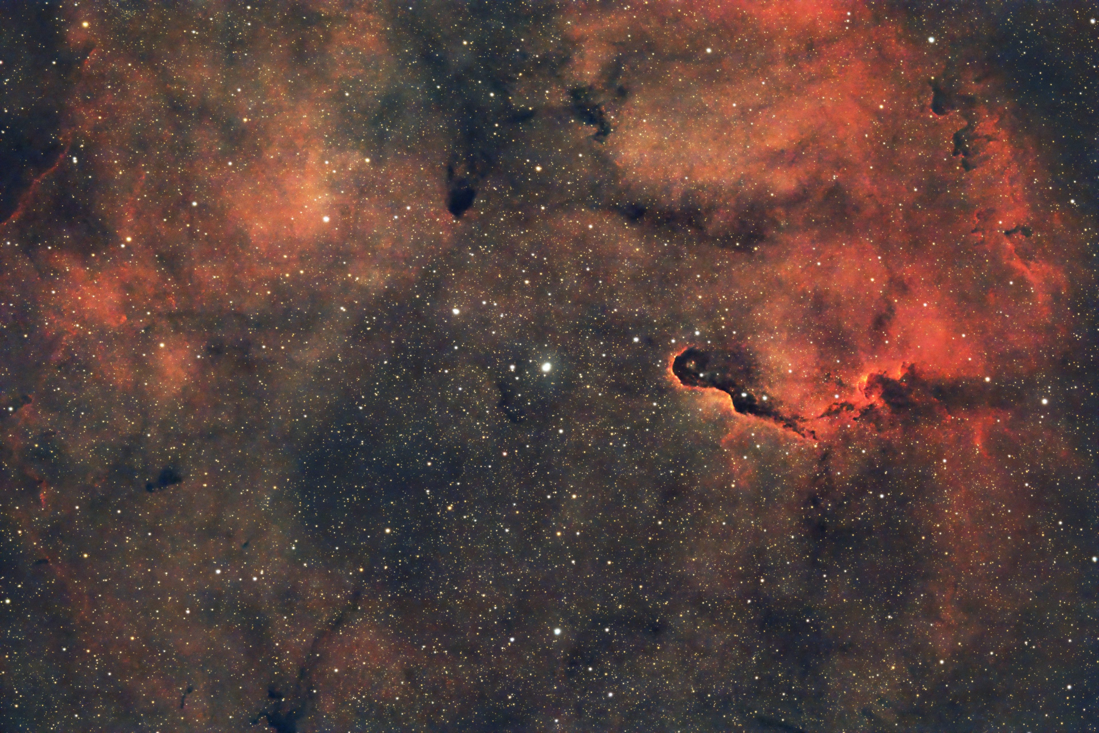 IC1396 Elefantenrüssel Nebel