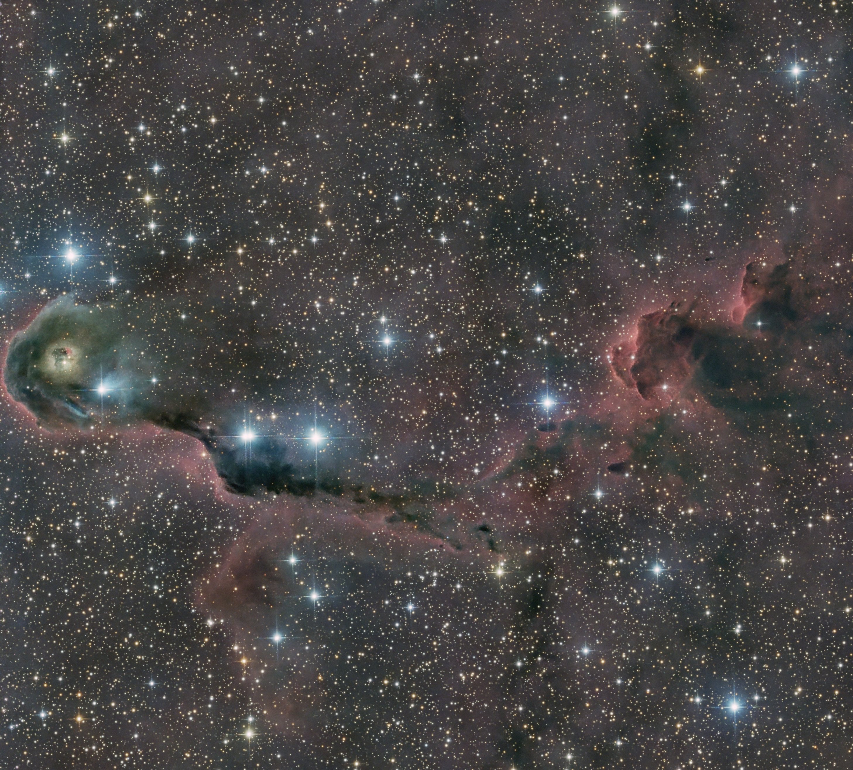 IC1396 (Elefantenrüsselnebel)