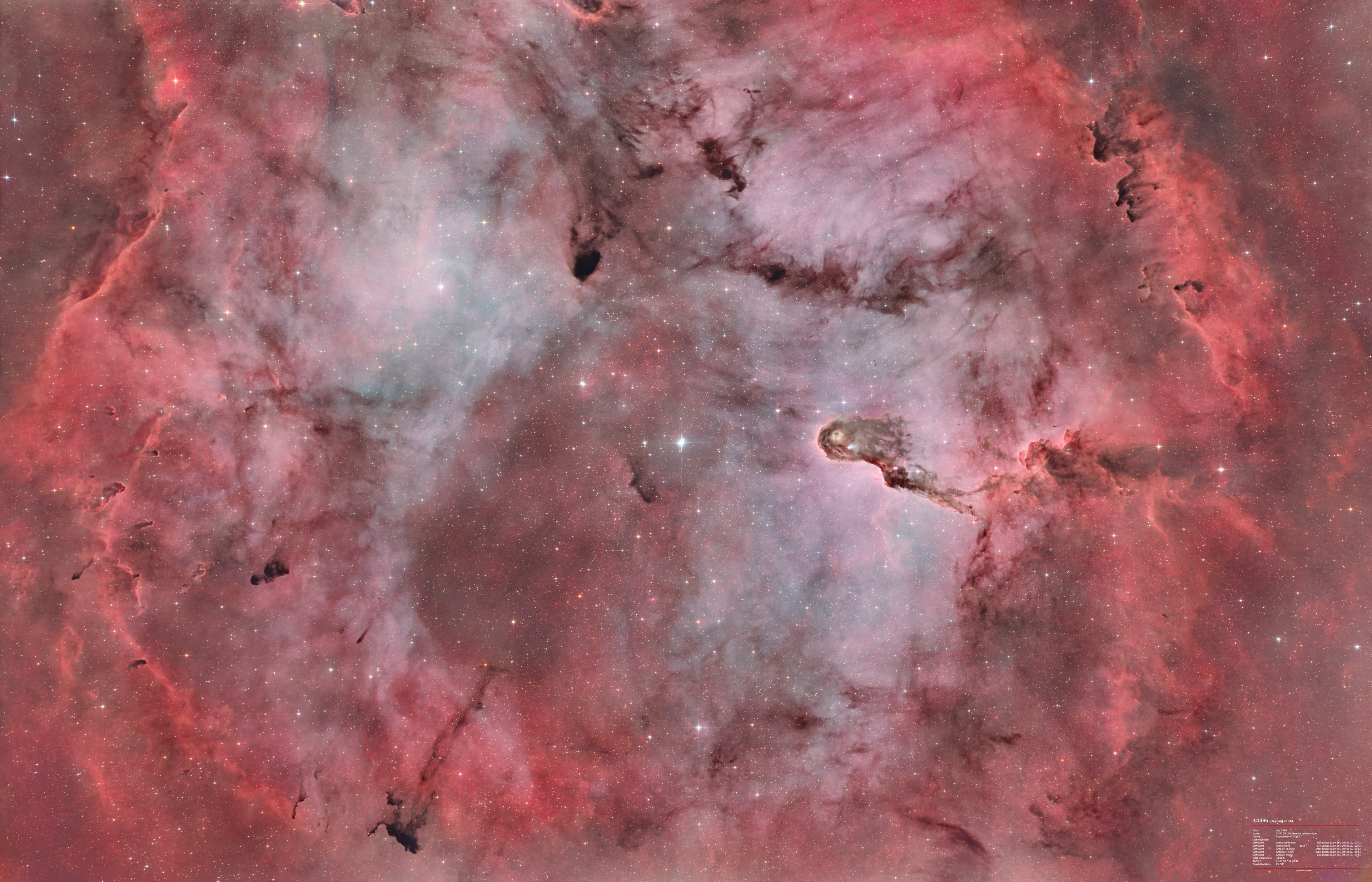 IC1396. Elephant Trunk