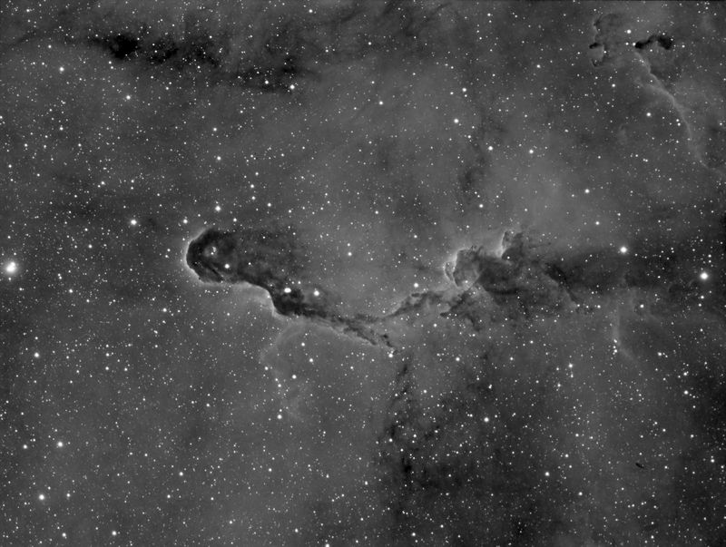 IC1396 im H-Alpha-Lichte