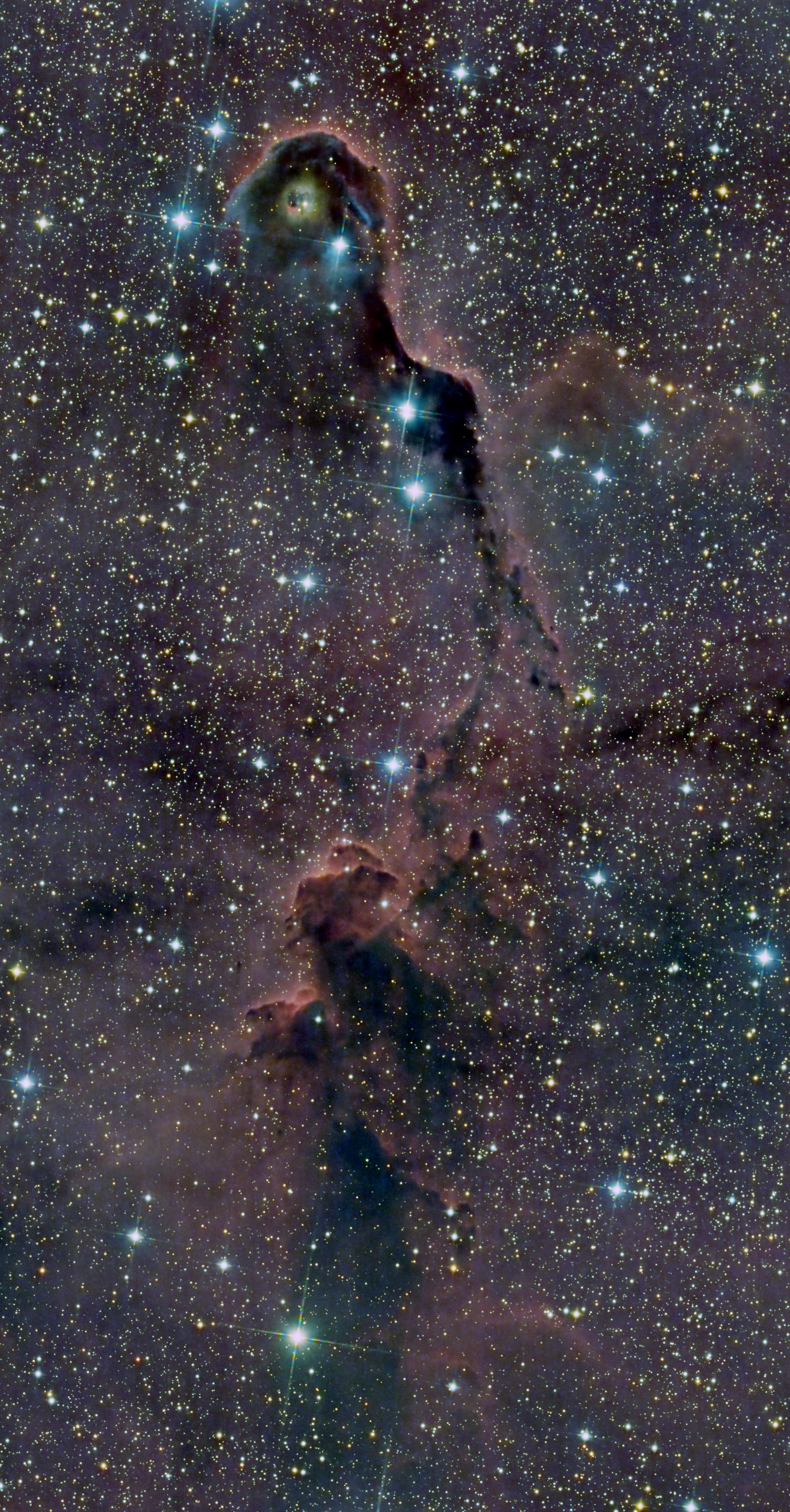 IC1396.jpg