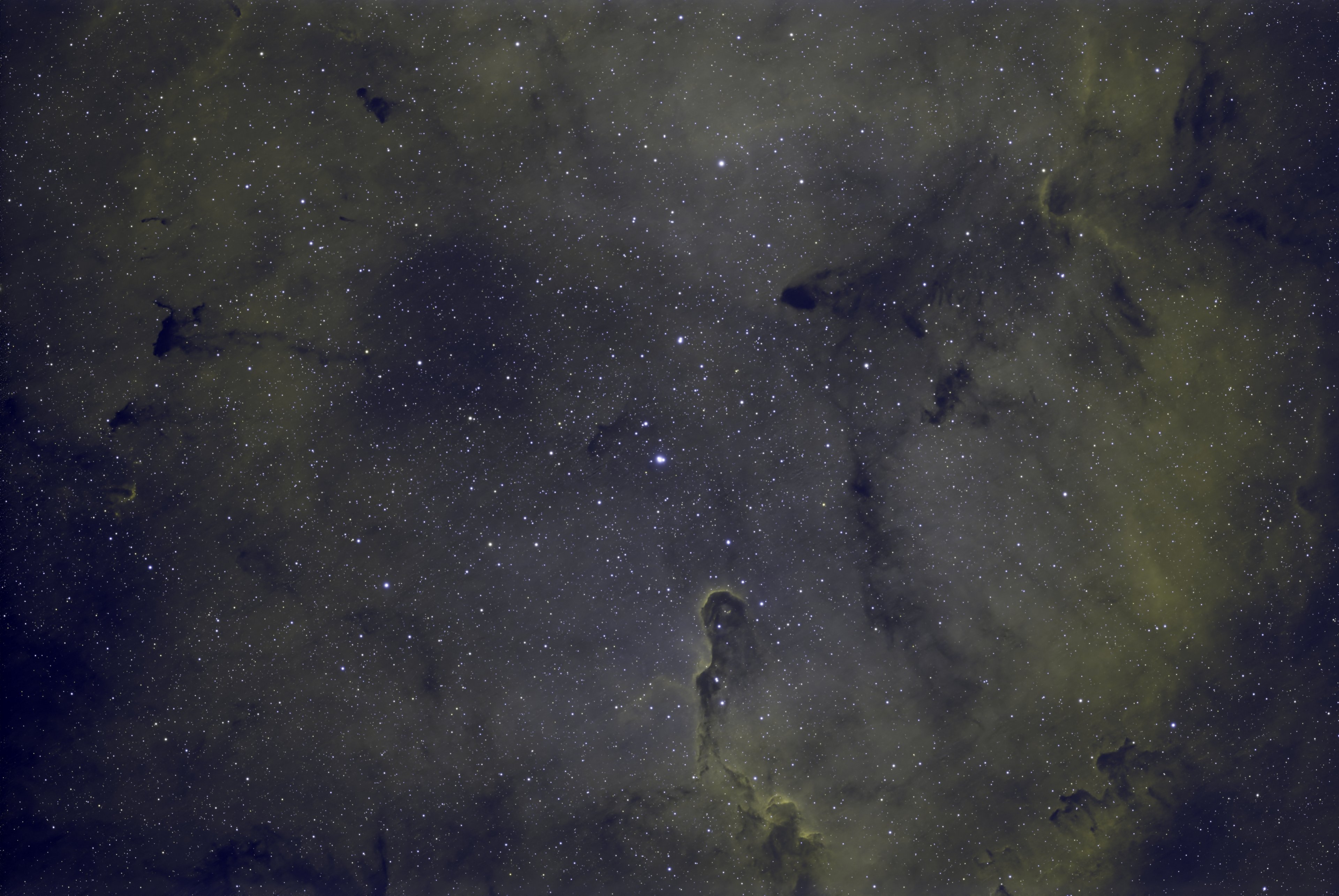 IC1396.jpg