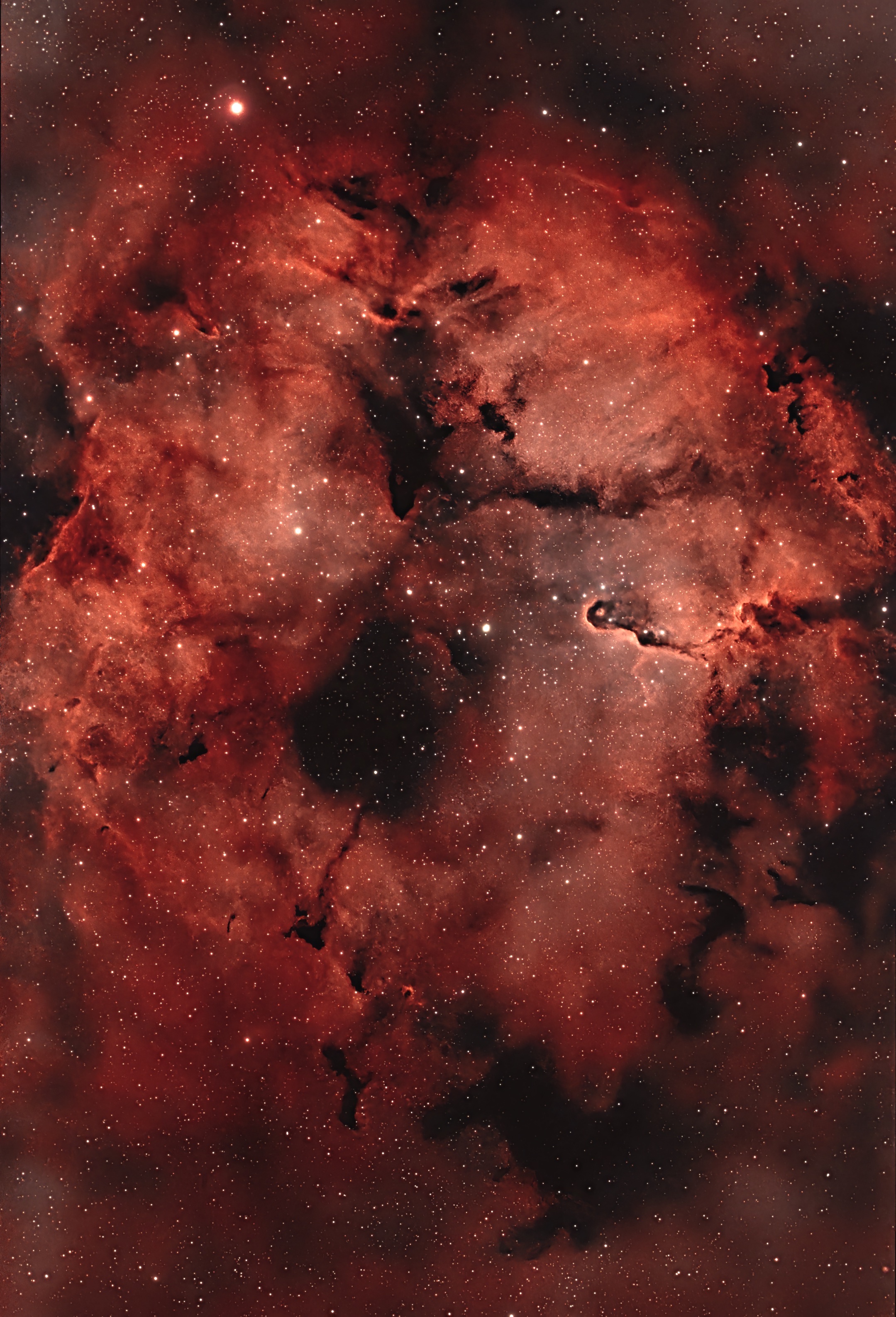 IC1396