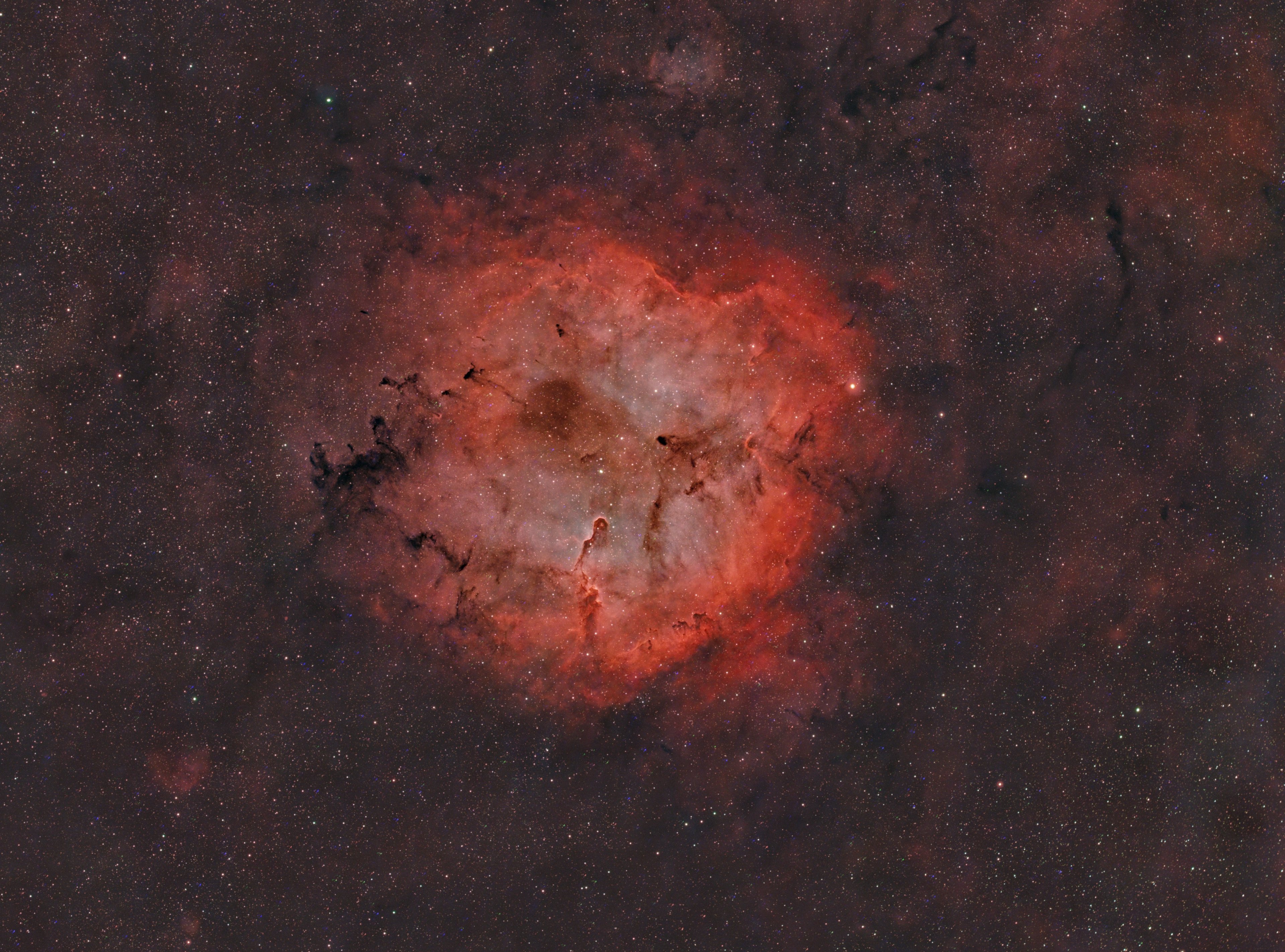 IC1396_5Std Widefield @250mm.jpg