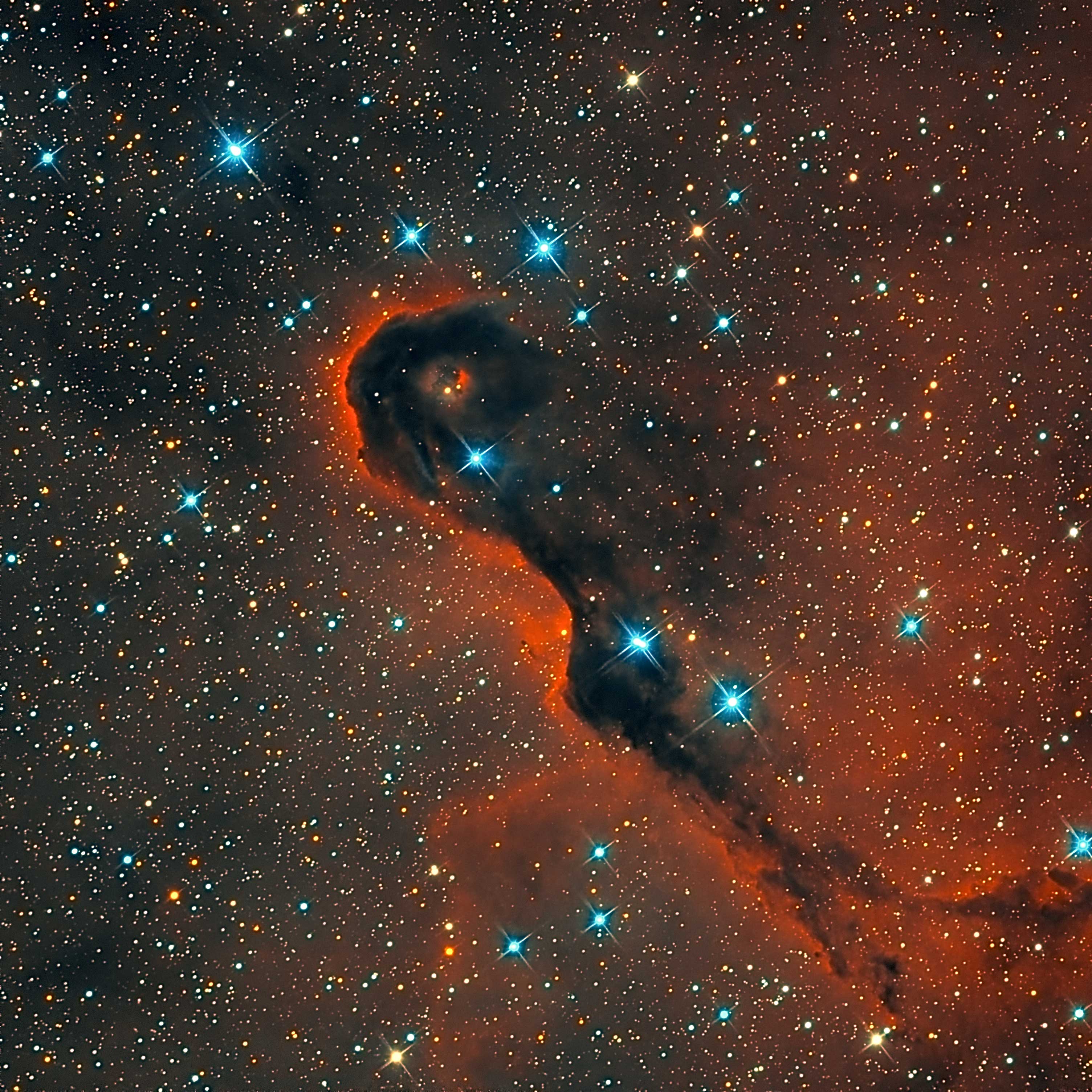 IC1396_V12XL_001_Final_UM_PS.jpg