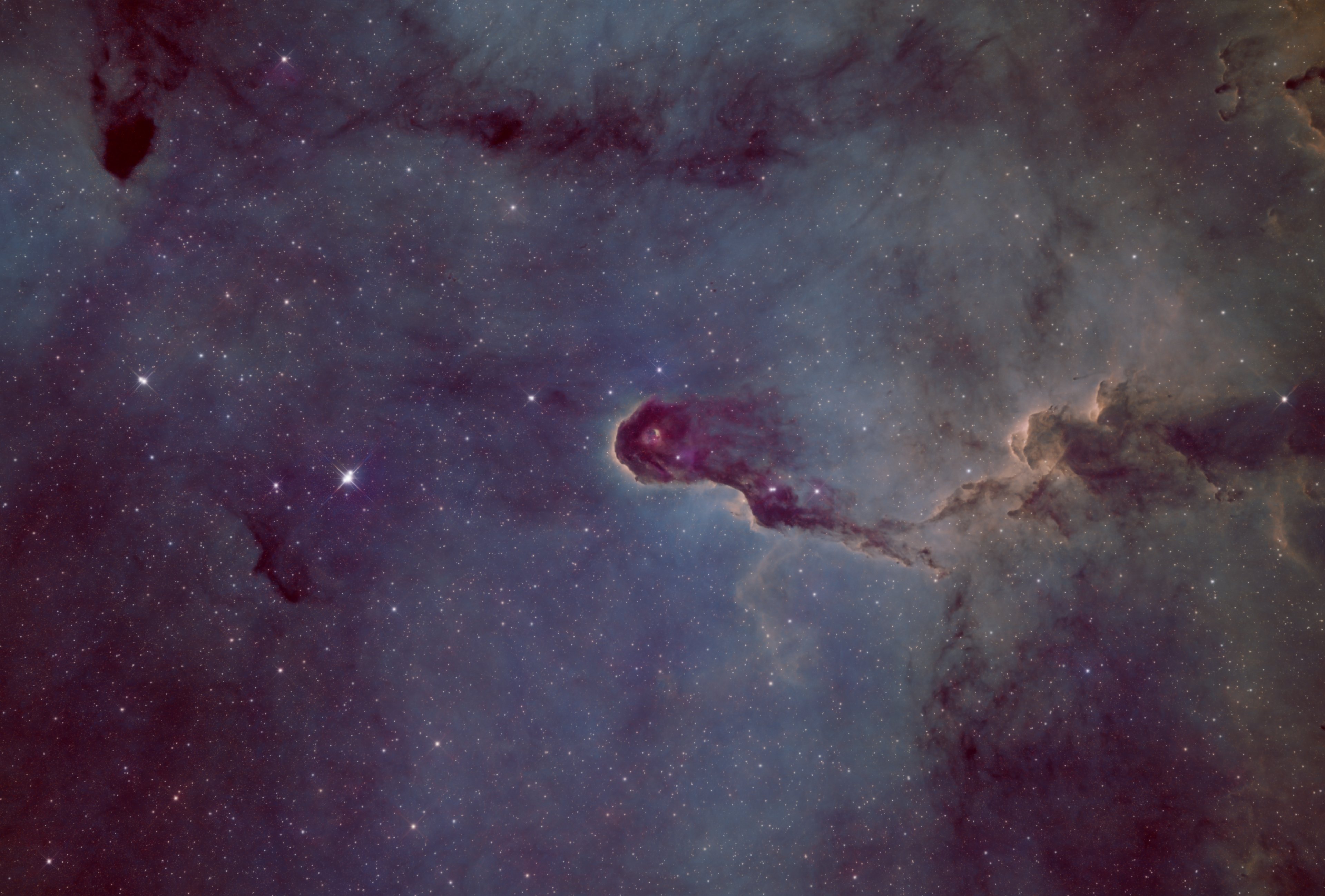 IC1396A (Elefantenrüsselnebel)