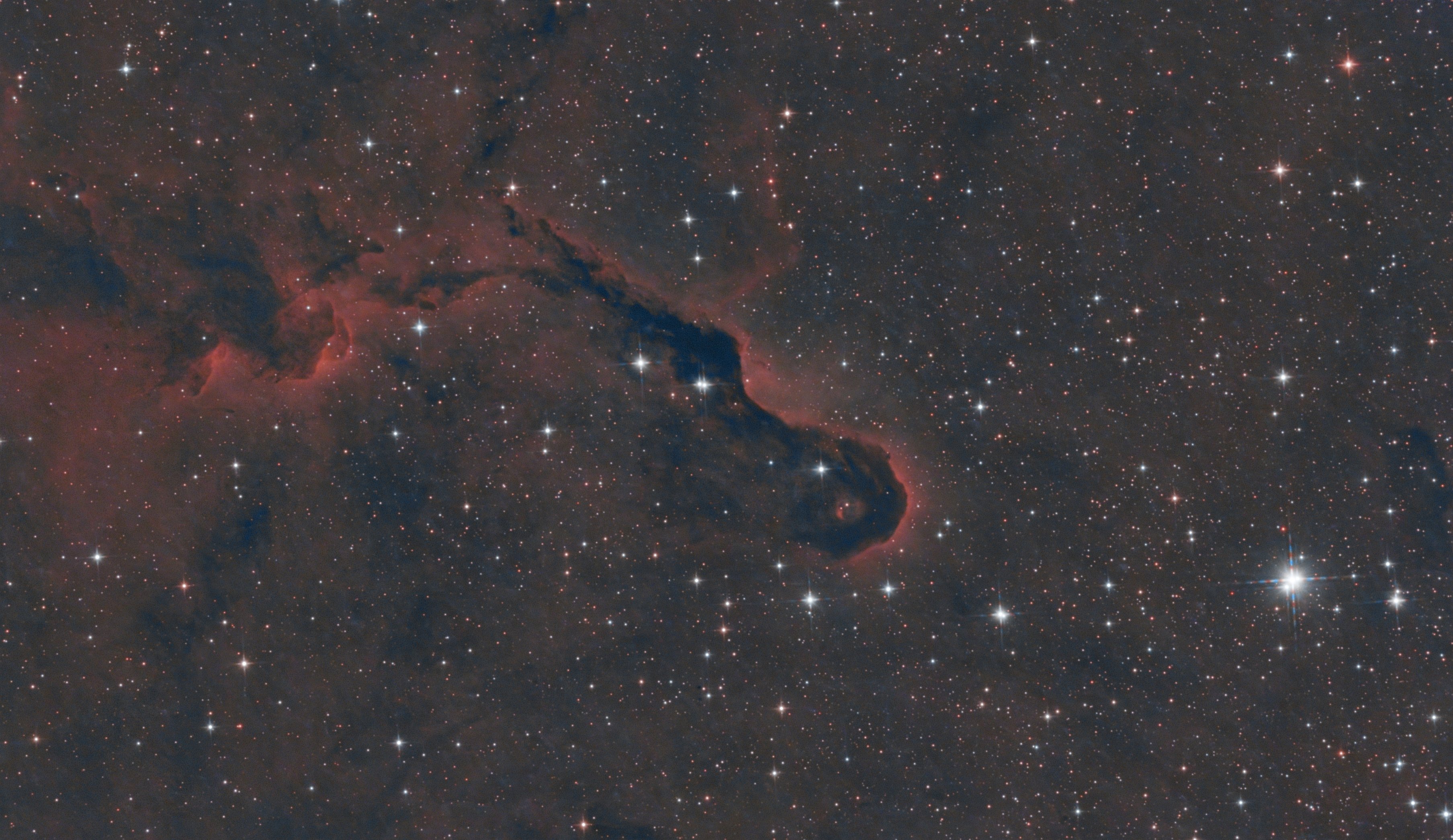 IC1396a - Elefantenrüsselnebel