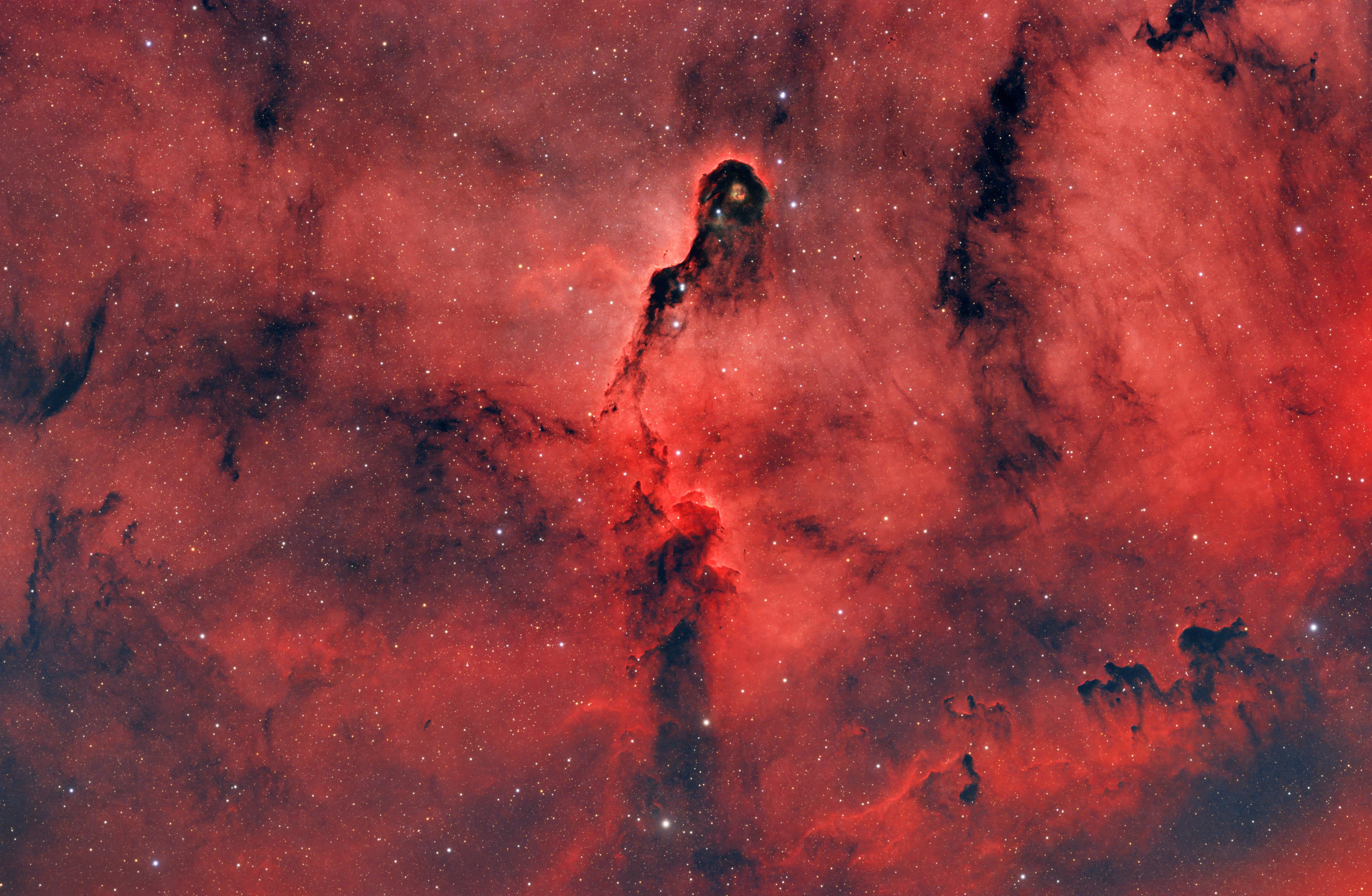 IC1396A Elephant Trunk Nebula