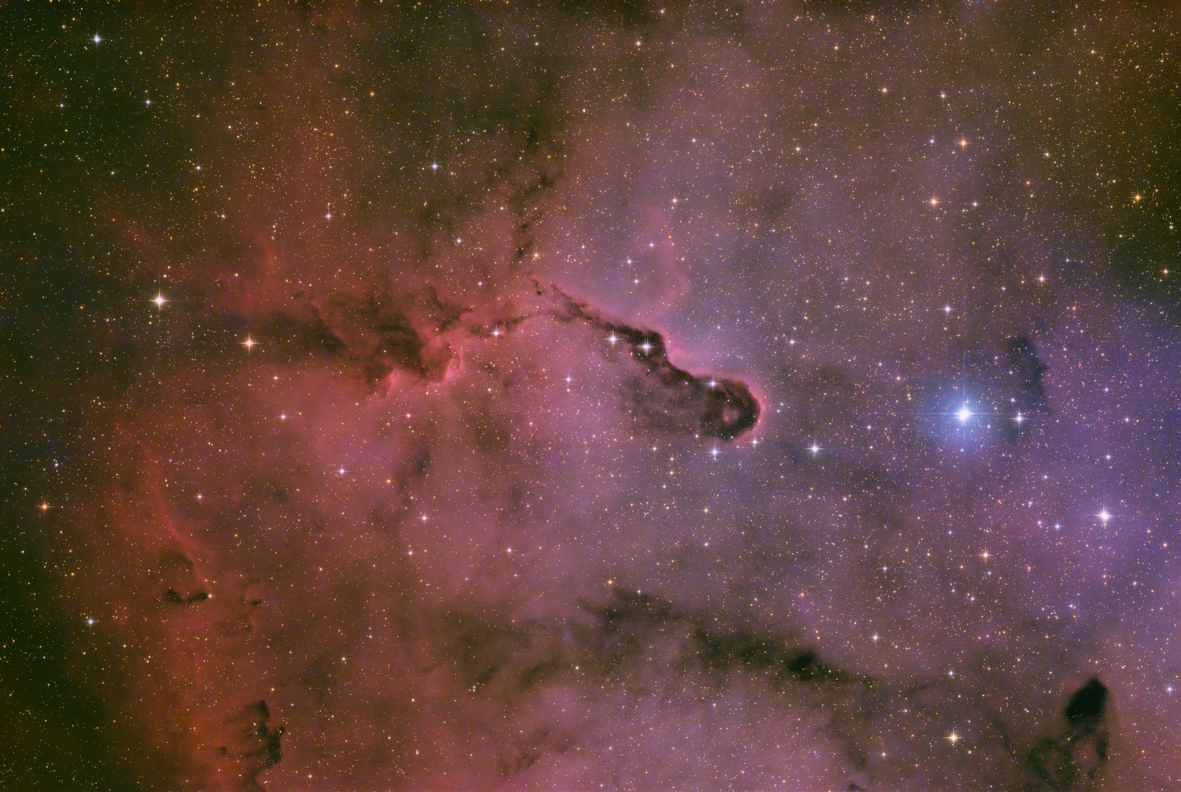 IC1396A.jpg