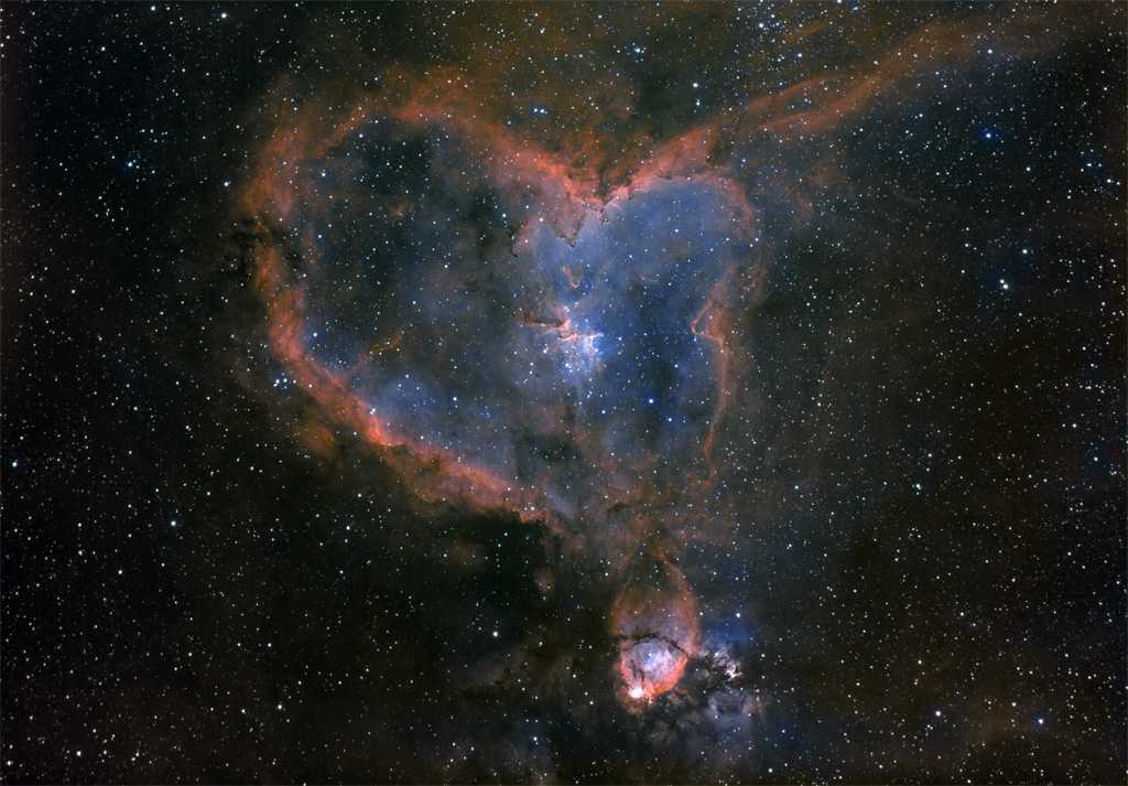IC1805 Bi Color