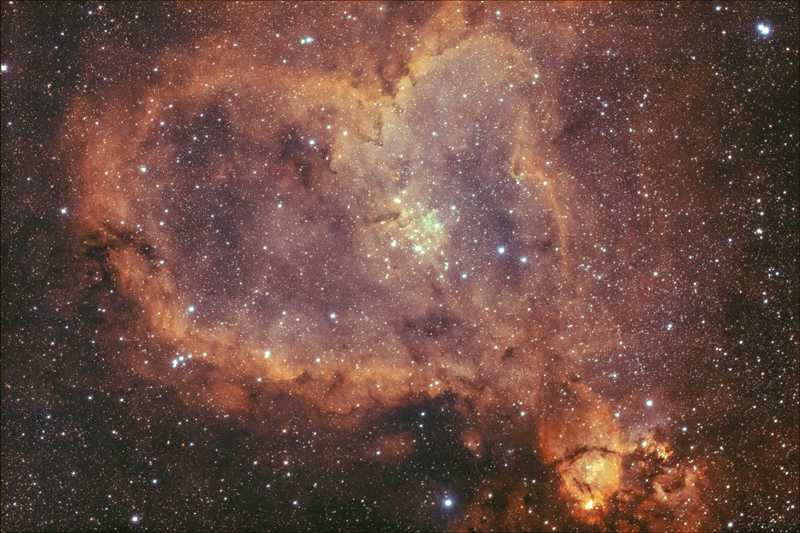 IC1805 Bicolor Thumb.jpg