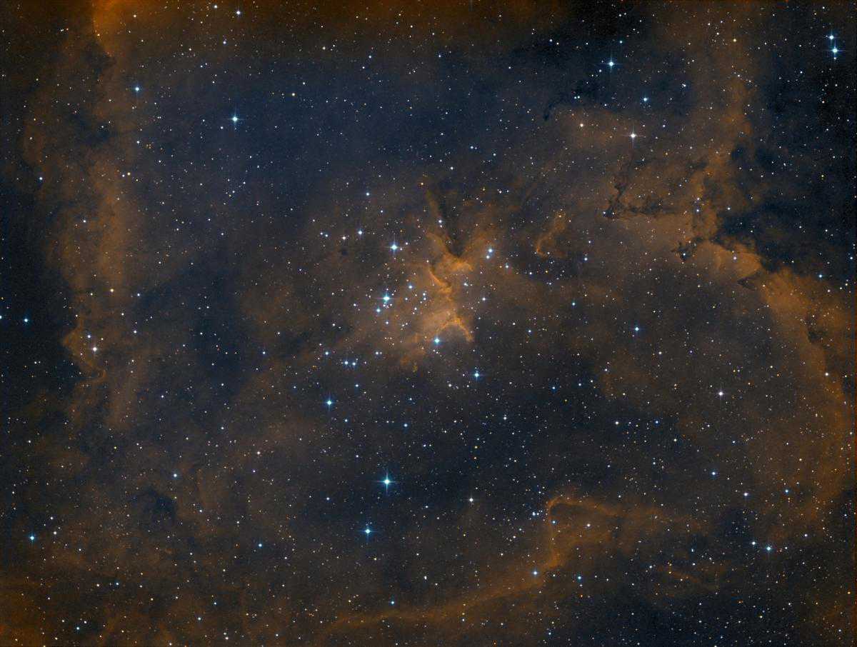 IC1805_WEB1200.JPG