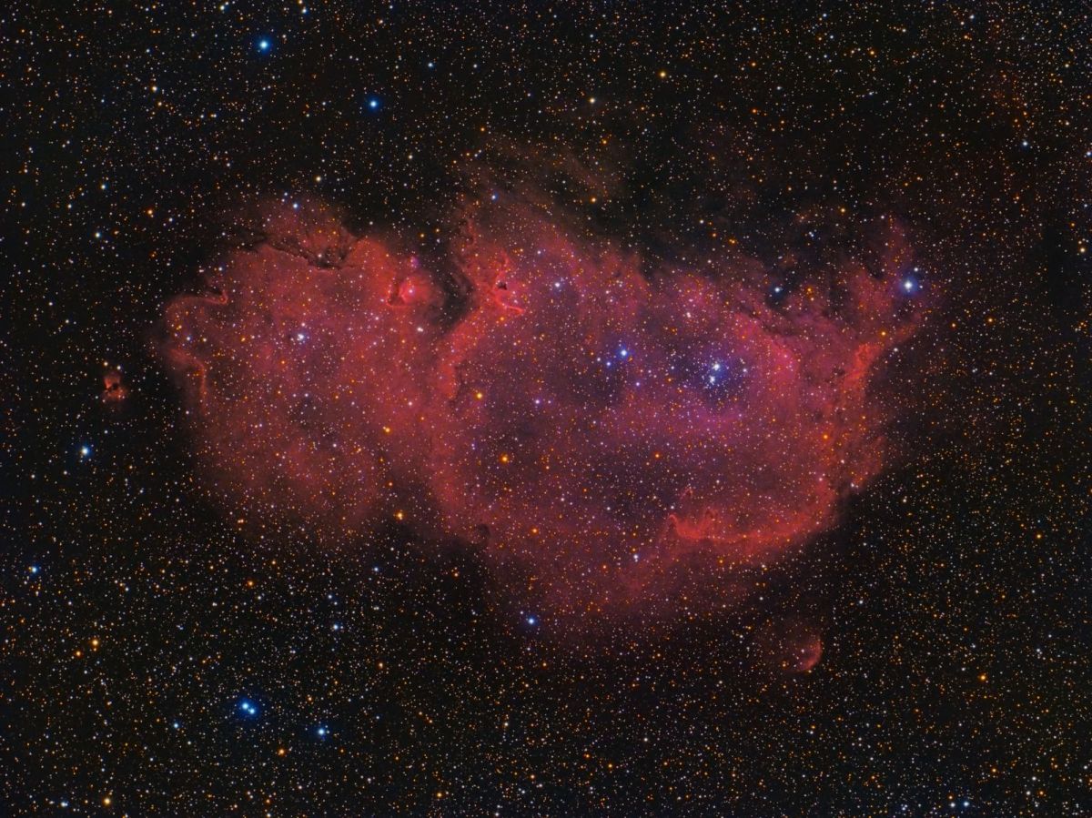 IC1848