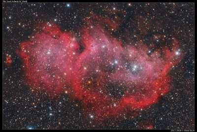 IC1848