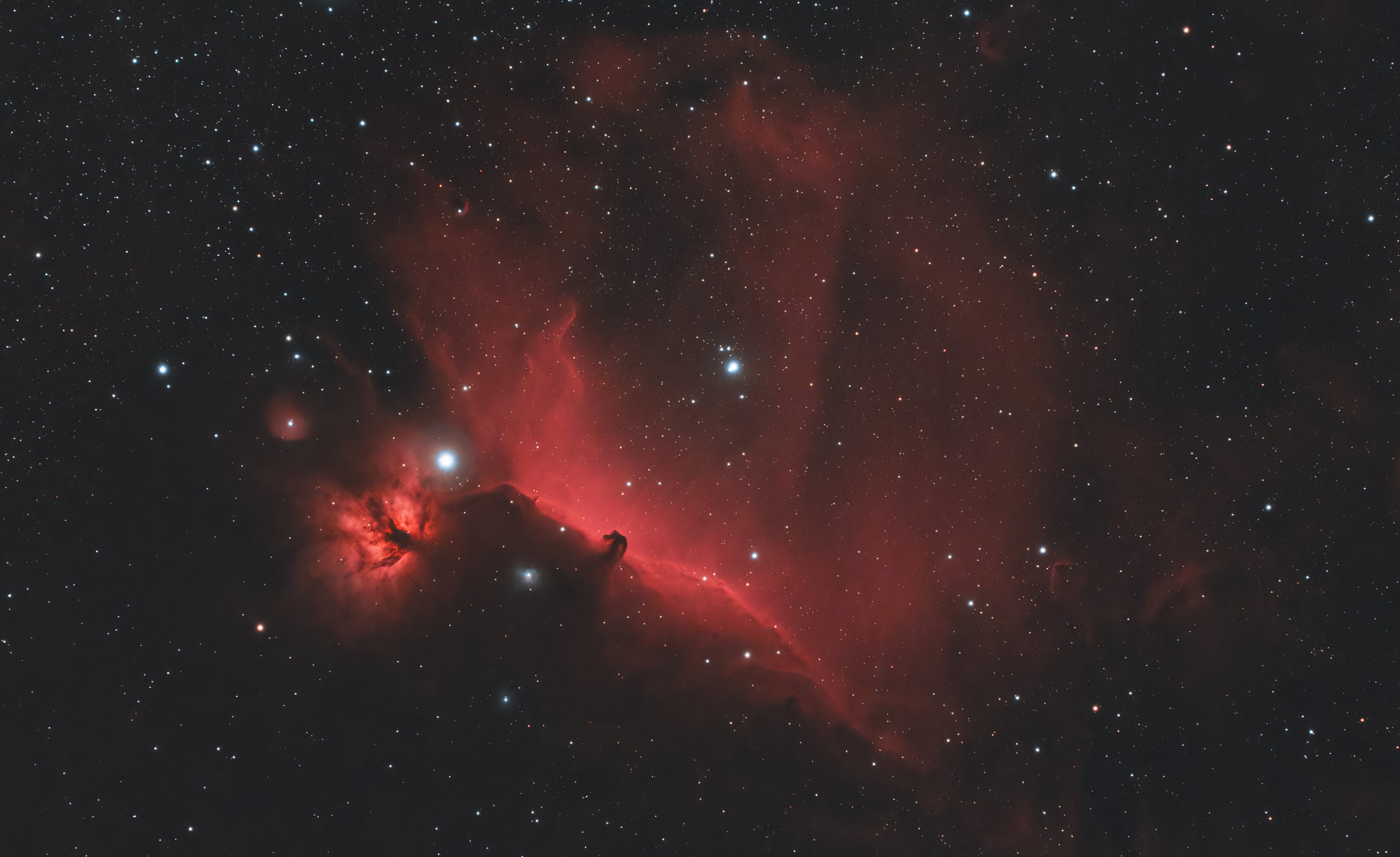 IC434 (Crop)