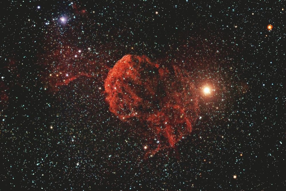 IC443   Die Qualle