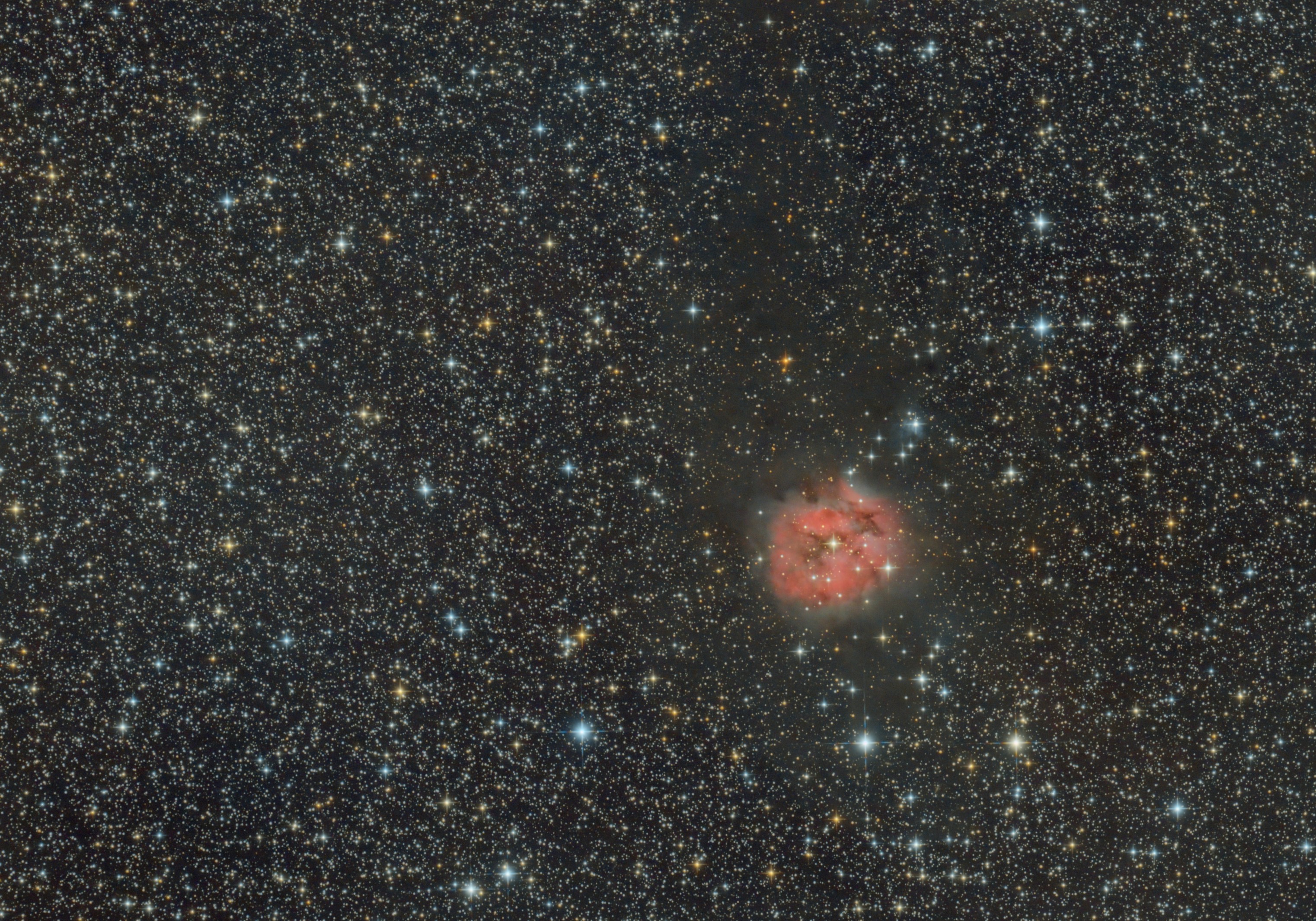 IC5146.jpg