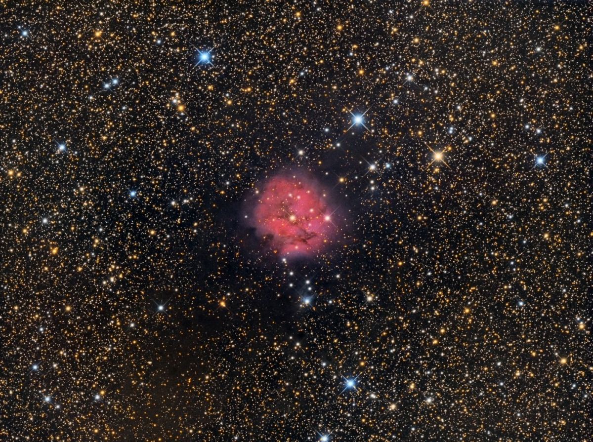 IC5146