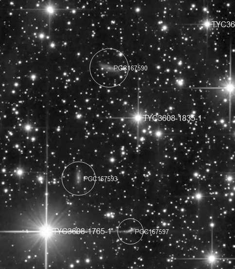 IC5146_100Crop.jpg