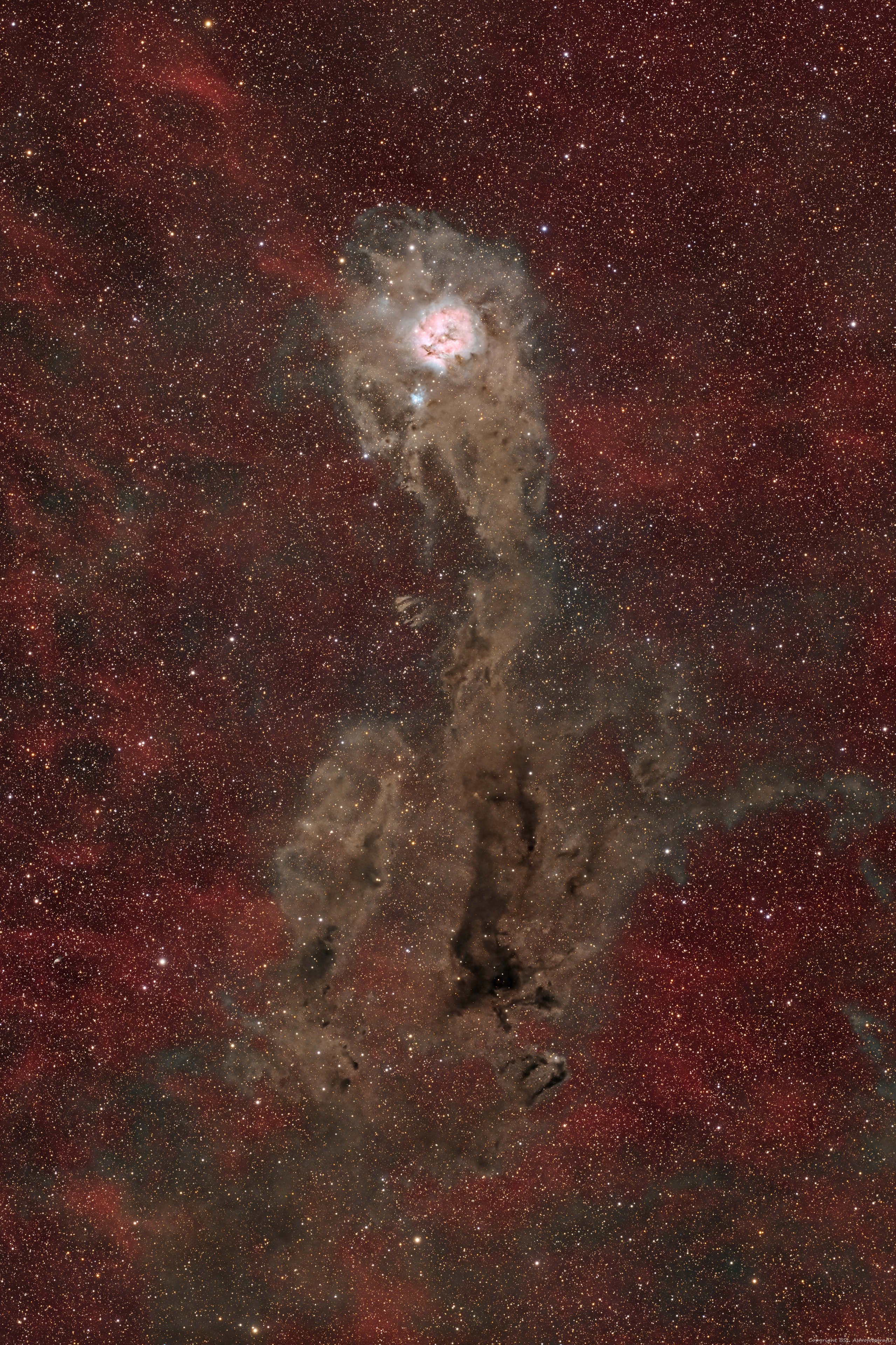 IC5146_CocoonNebula_20240902.jpg