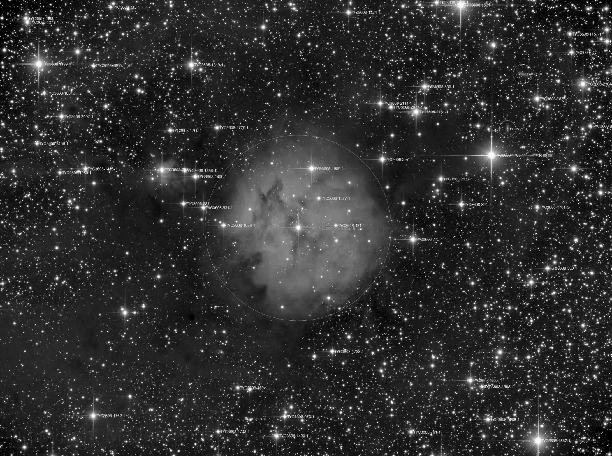 IC5146_L_500.jpg