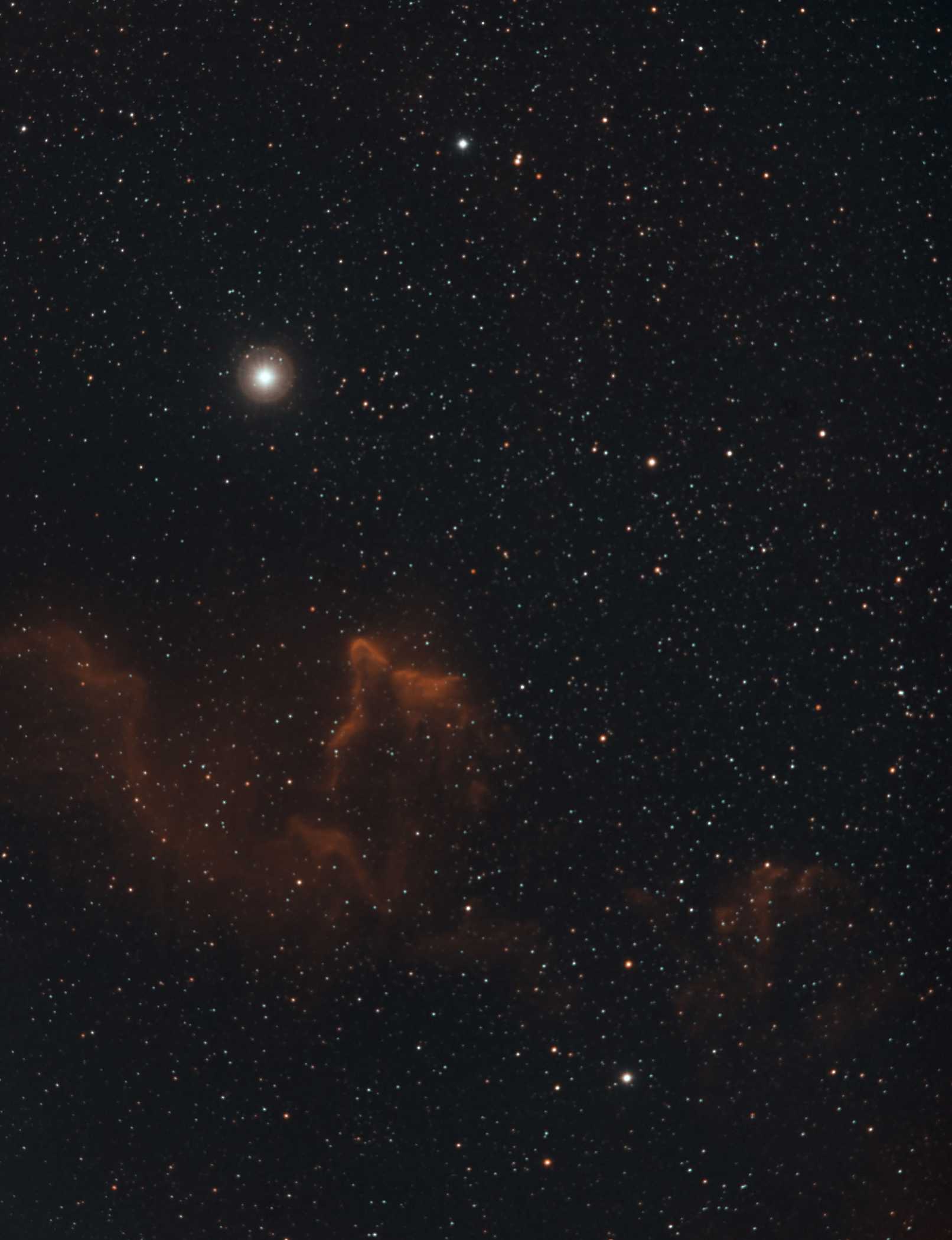 IC63 bicolor