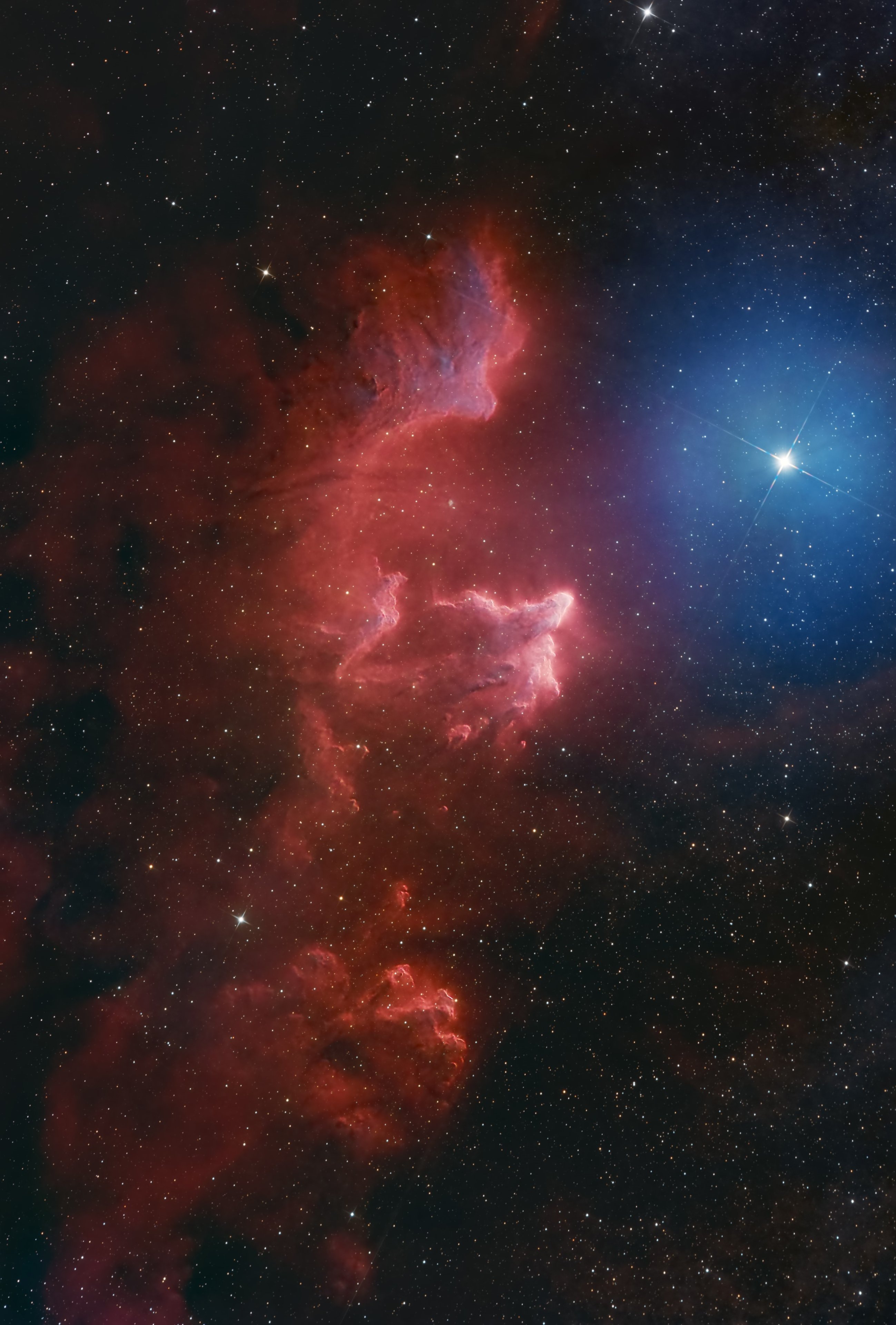 IC63 - Ghost of Cassiopeia