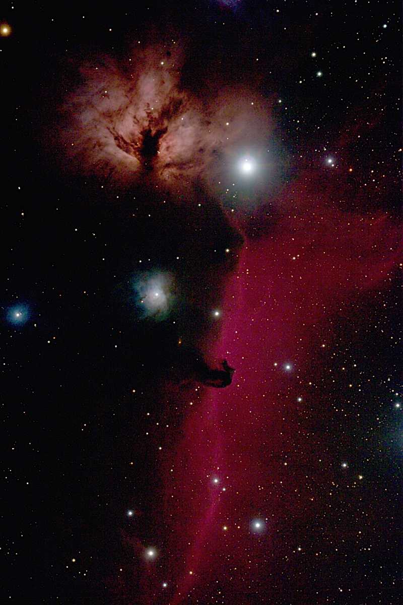 Im Orion - IC 434 und NGC 2024