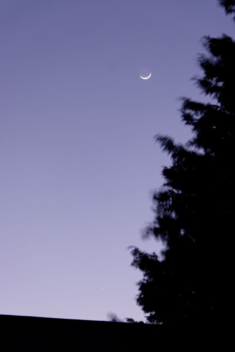 IMG_0369_DxO.jpg