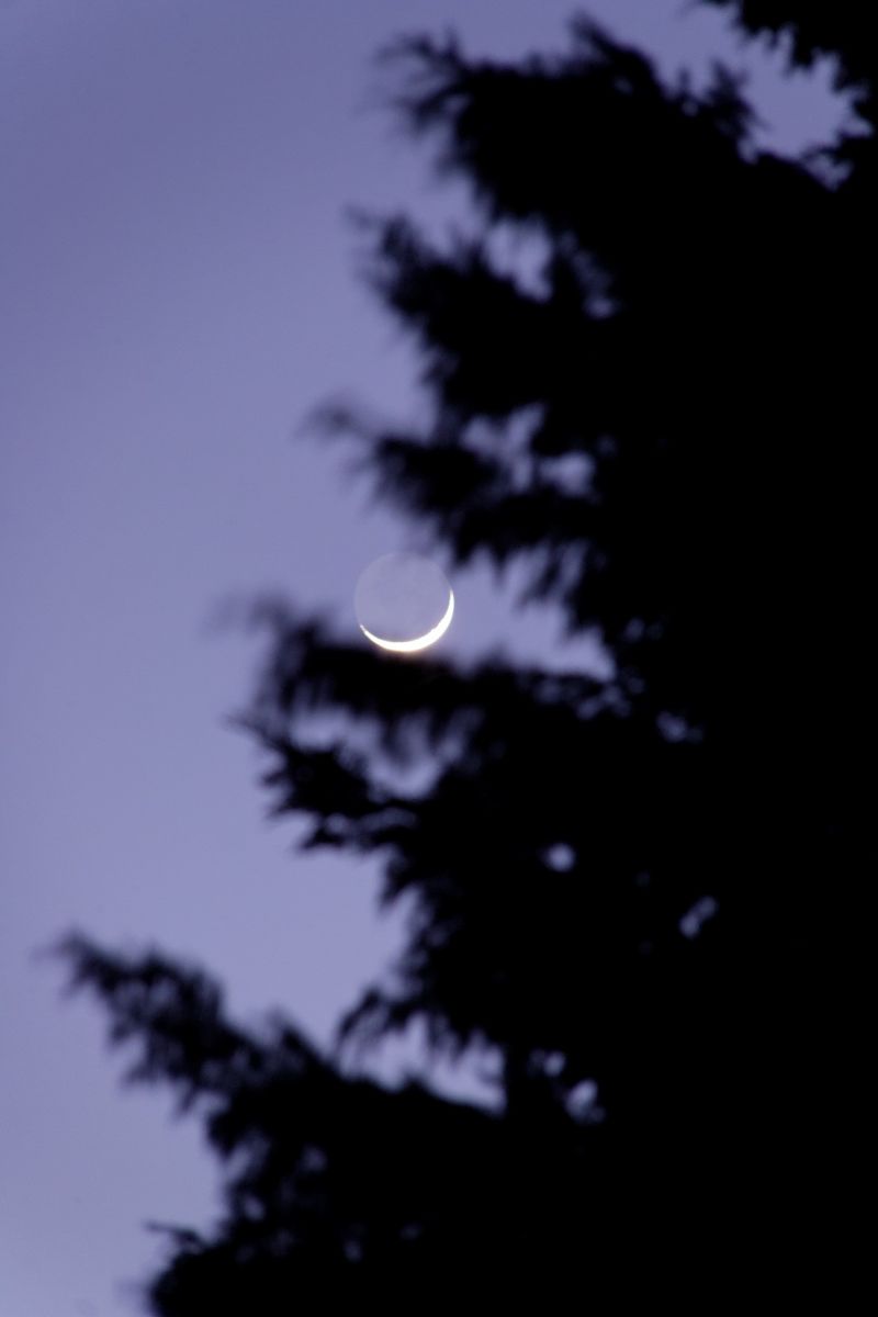 IMG_0381_DxO.jpg