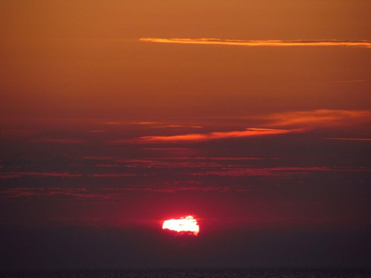 IMG_2458.jpg