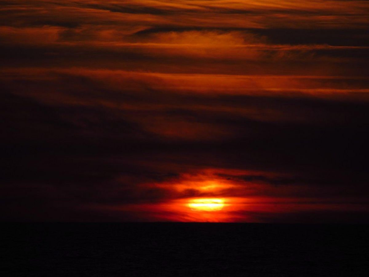 IMG_2720.jpg