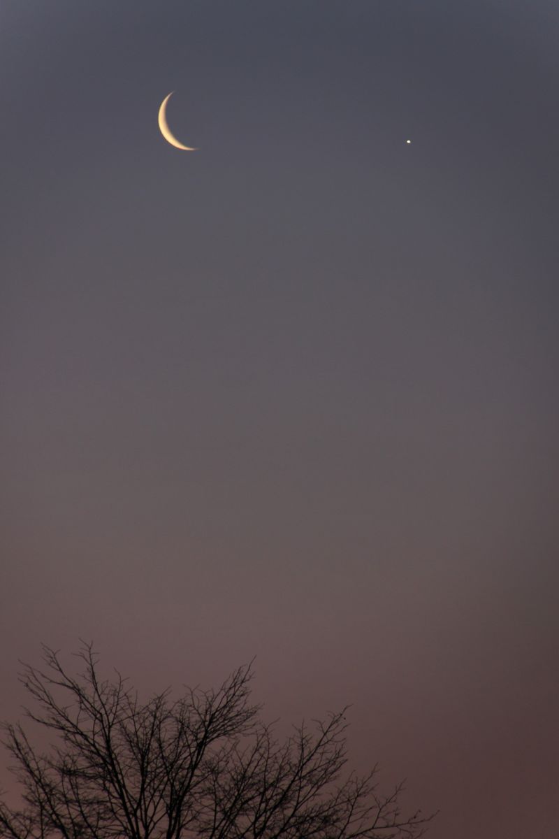 IMG_3283_DxO.jpg