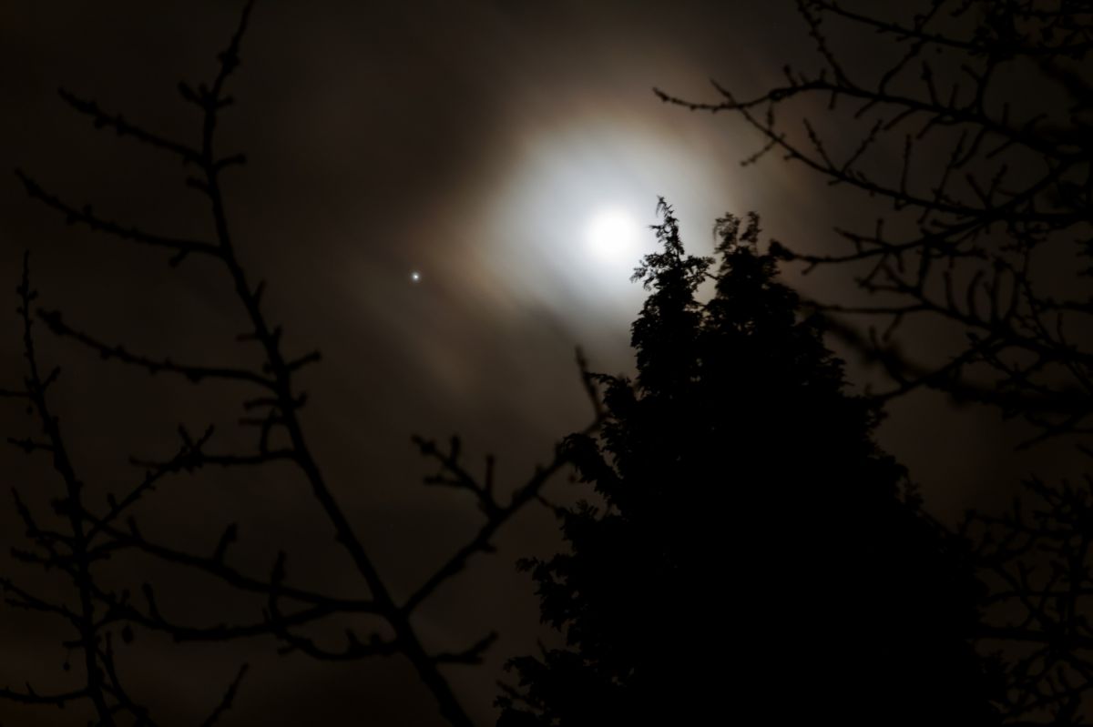 IMG_3449_DxO_hf.jpg