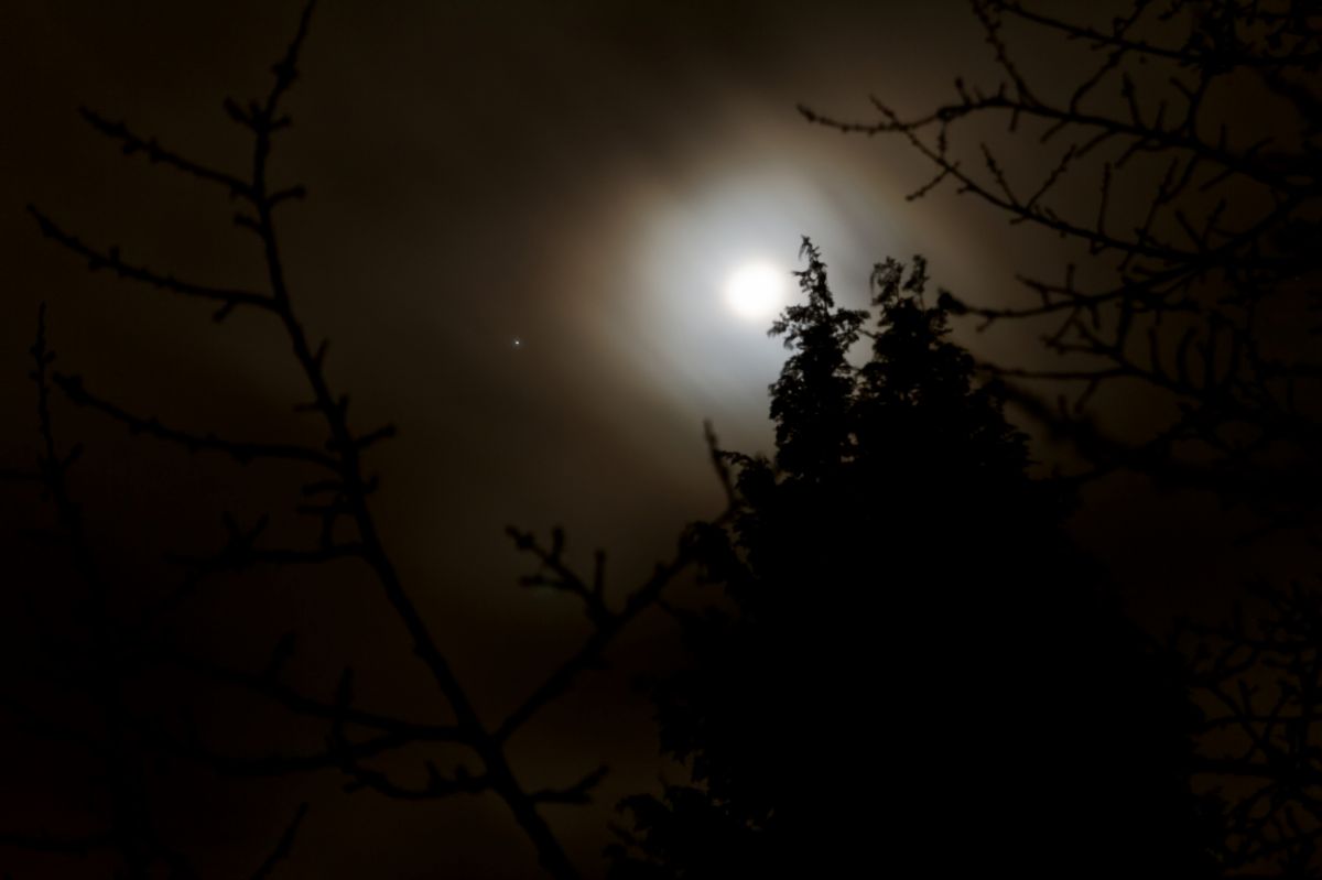 IMG_3452_DxO_hf.jpg