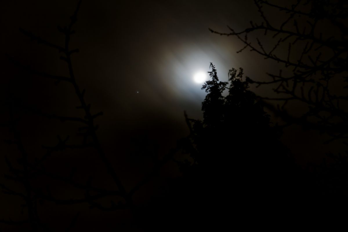 IMG_3455_DxO_hf.jpg