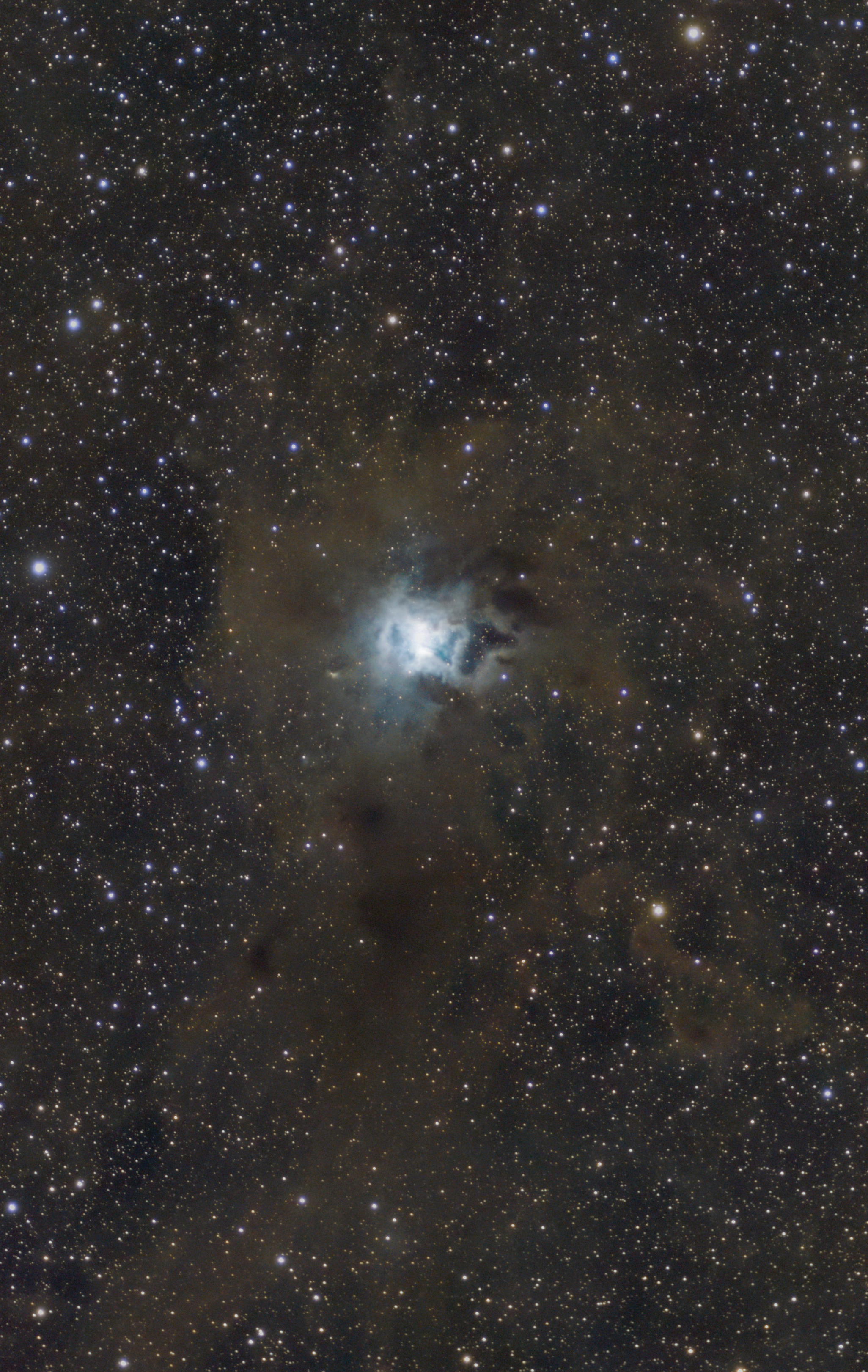 Iris Nebel · Caldwell 4 | NGC 7023