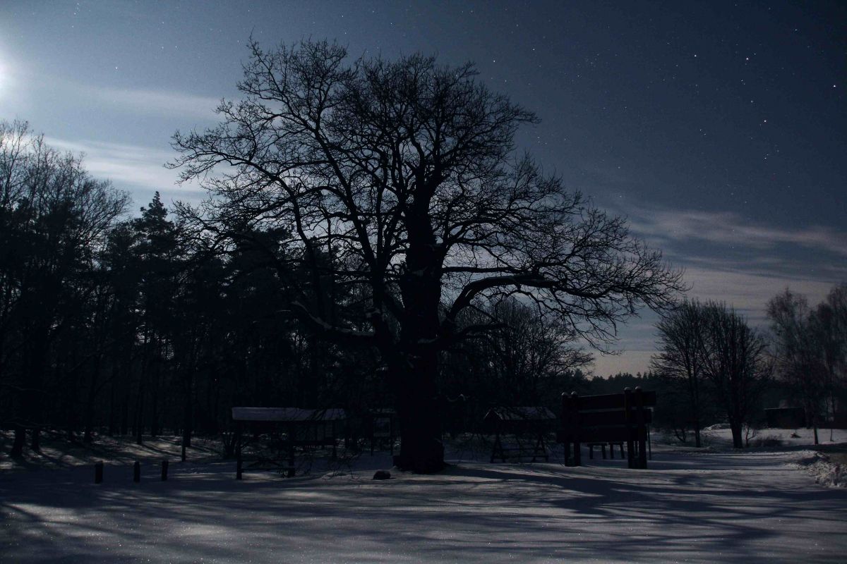 Januar-Vollmond