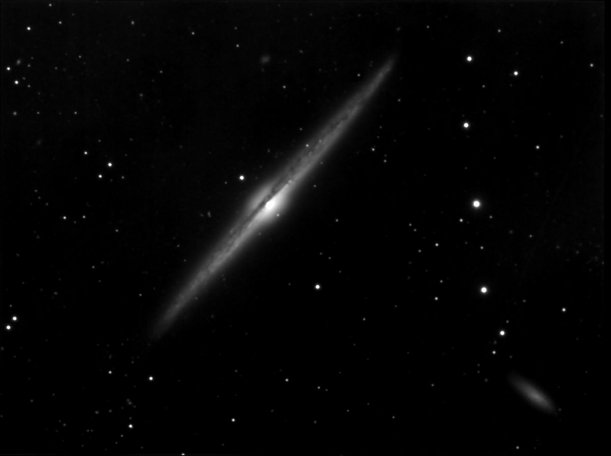 L1-12_8.jpg