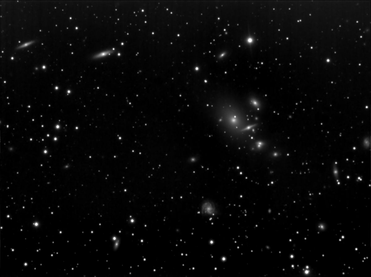 L1-36msk_10.jpg
