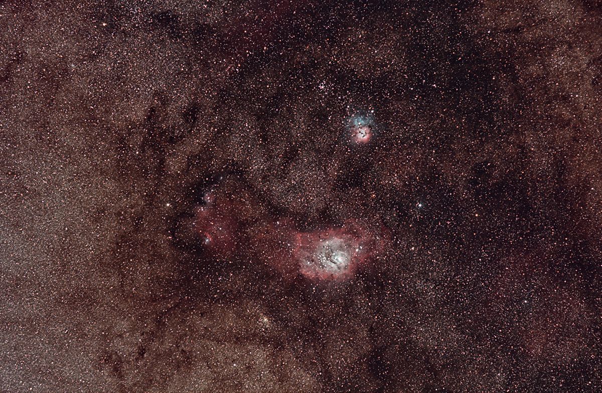 Lagoon + Trifid