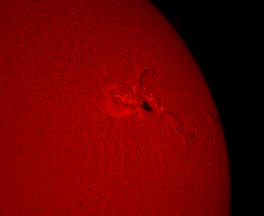 Langsamer Abschied vom AR 12529