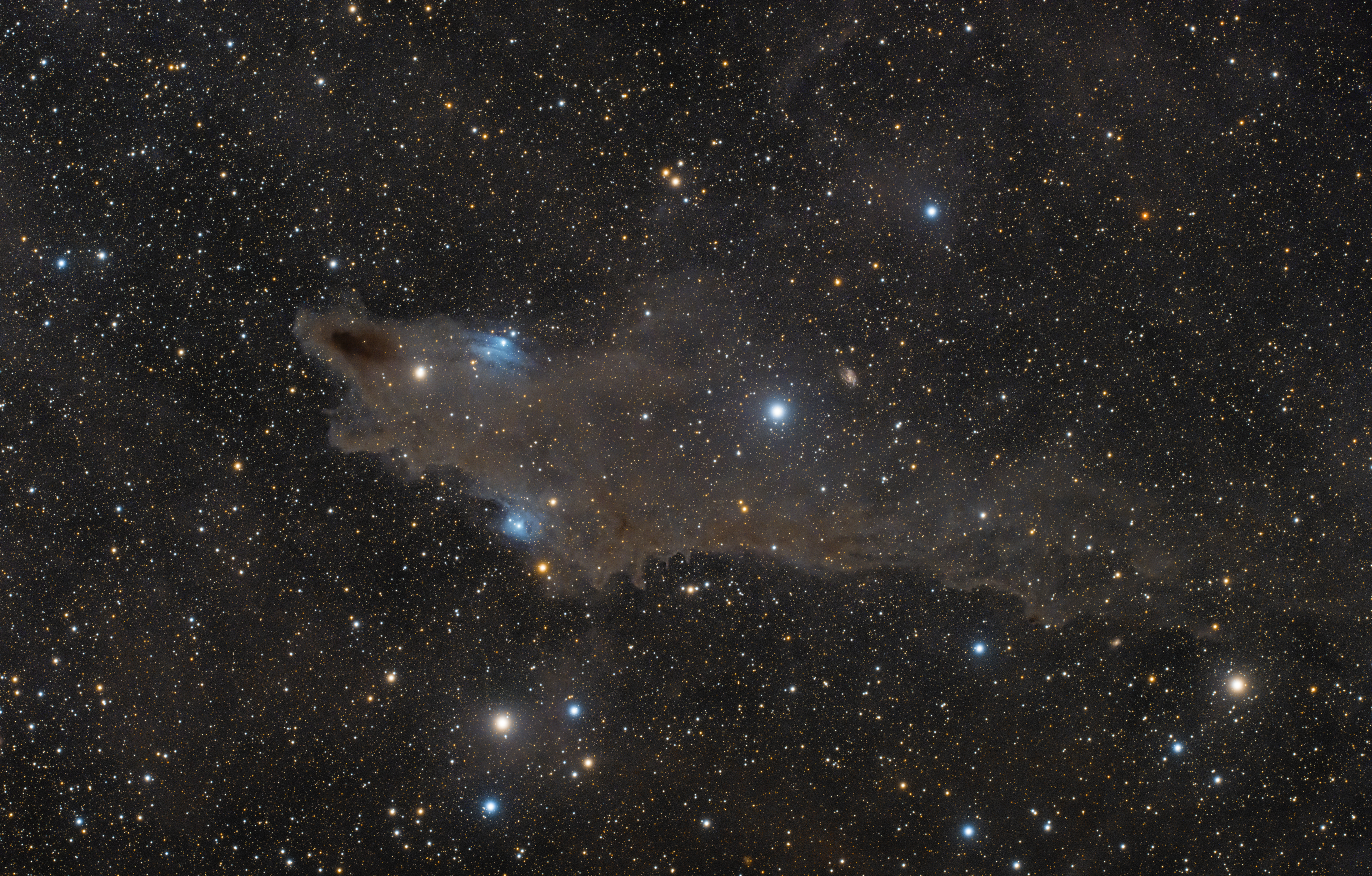 LDN 1235 (Shark Nebula)