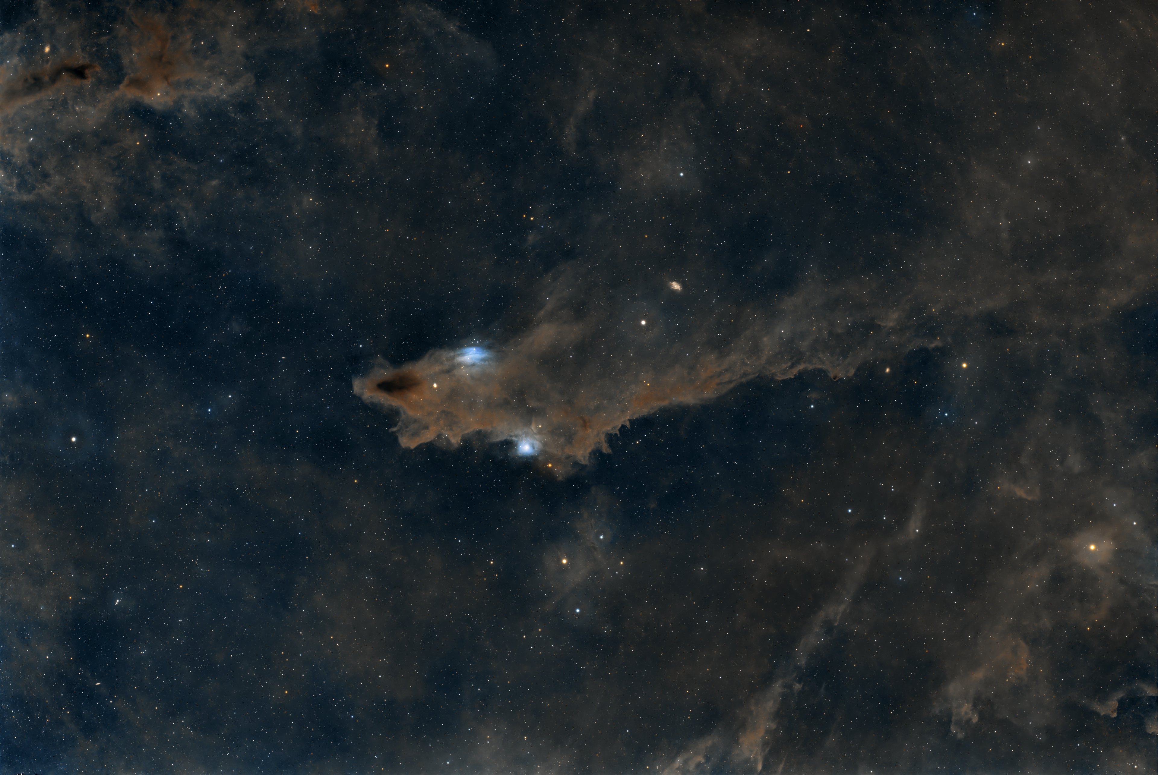 LDN 1235 - The Shark Nebula