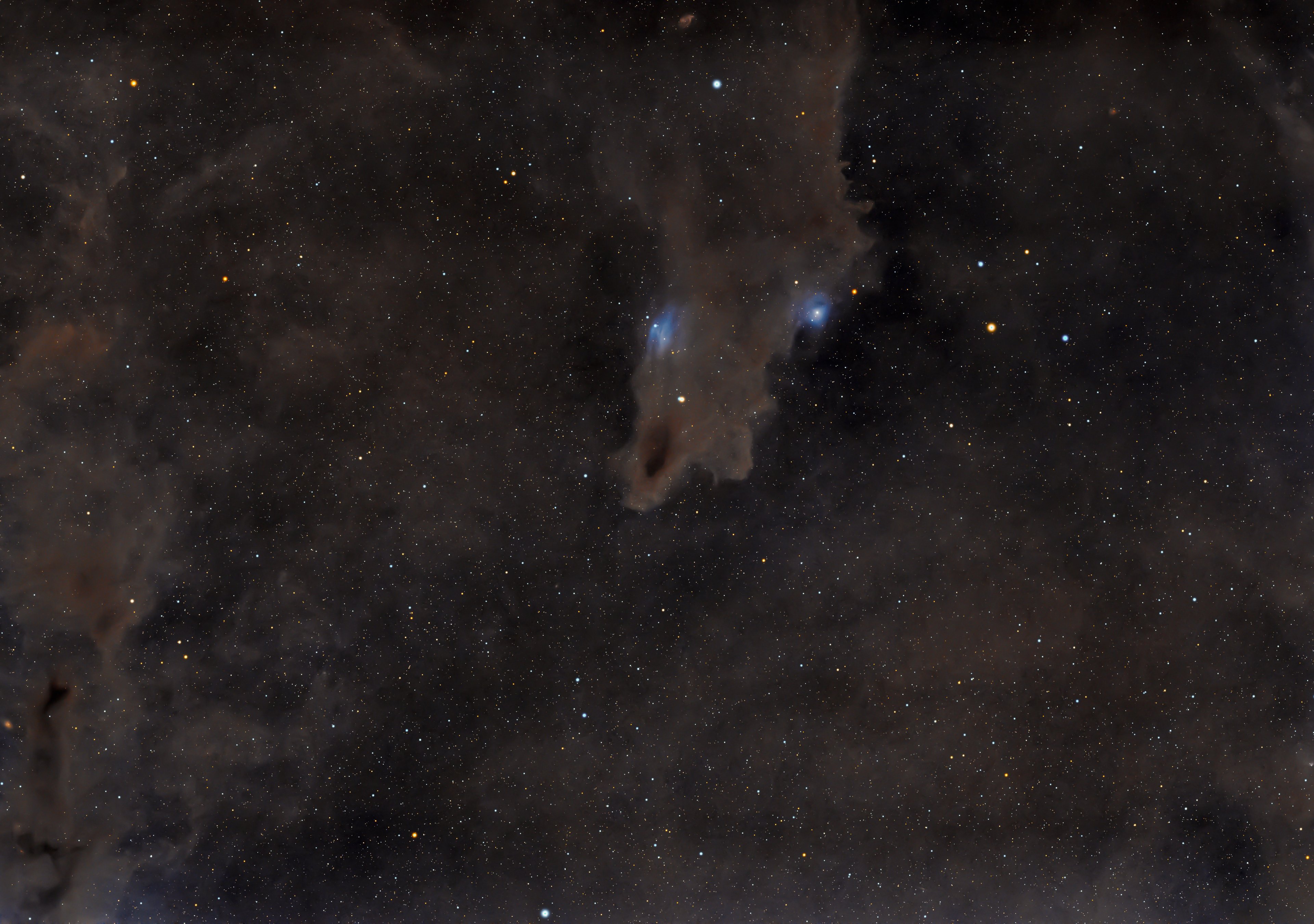 LDN 1235-The Shark Nebula